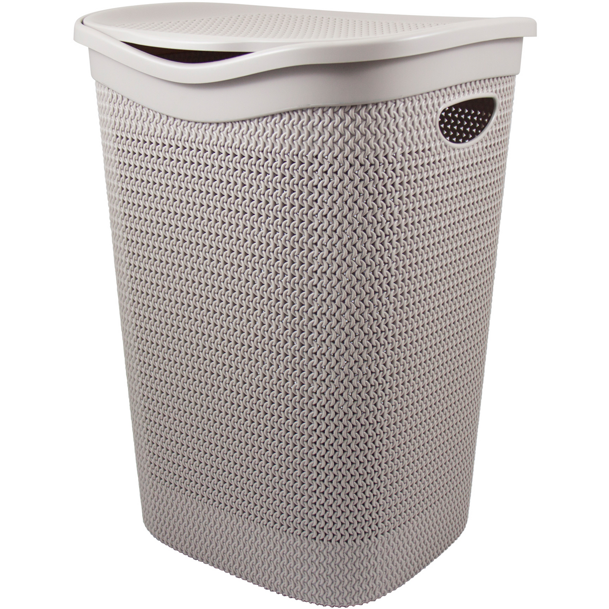 SONGICS Cesto Portabiancheria, 100 L, Cesta per il Bucato a 2 SONGICS Cesto Portabiancheria, 100 L, Cesta per il Bucato a 2