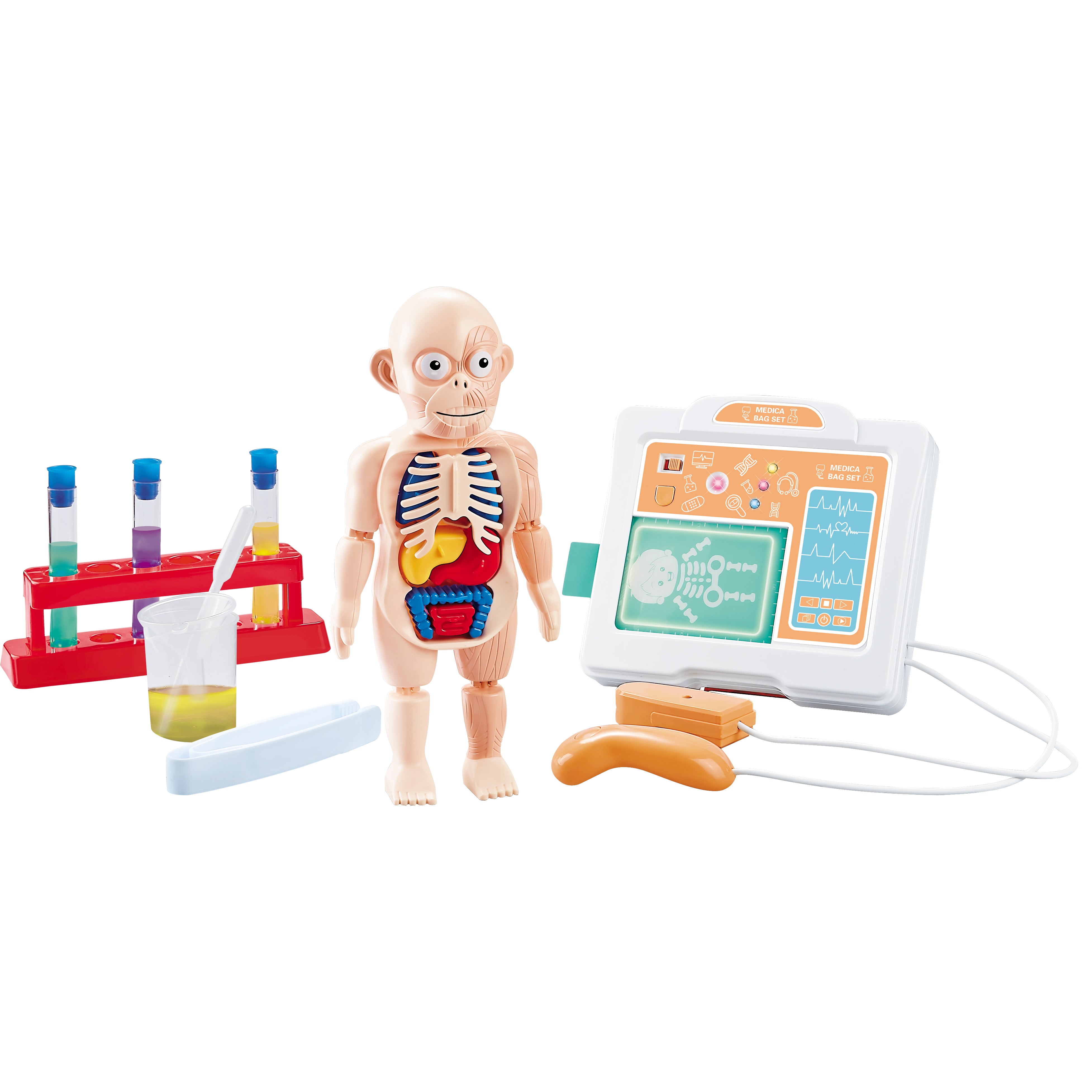 TU GIOCHI - Modellino Corpo Umano con Ecografo