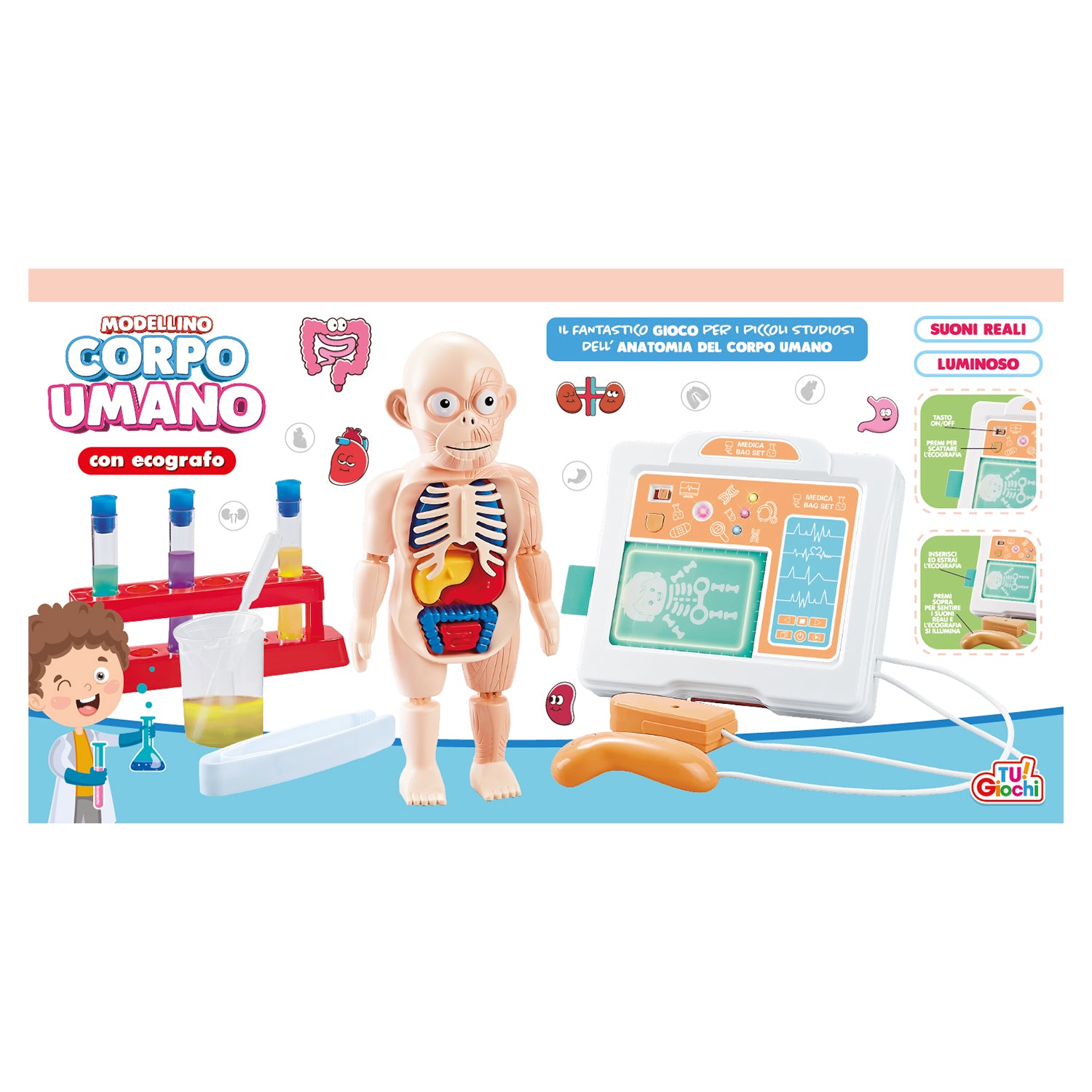 TU GIOCHI - Modellino Corpo Umano con Ecografo