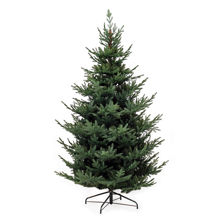 VESTIAMO CASA GRAN NATALE - Albero di Natale Atlante - h210 cm diametro alla base 142 cm