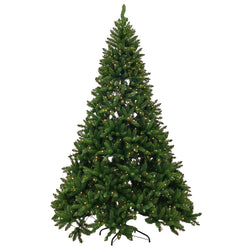 DICTROLUX - Albero di Natale Luminoso Sibilla 800 Led Bianco Caldo - h240 cm diametro alla base 158 cm