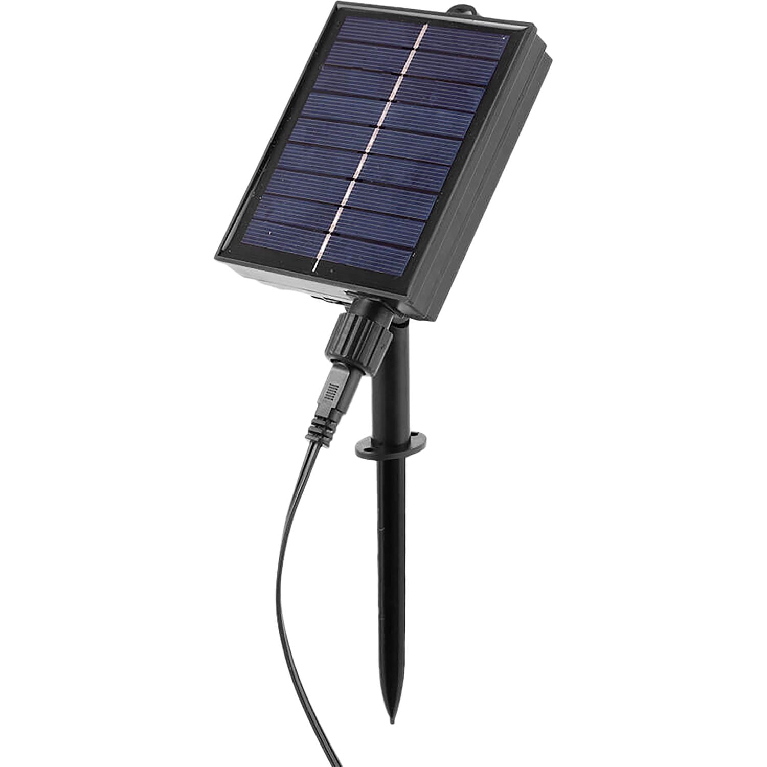 DICTROLUX - Tenda Luminosa Solare 300 LED Bianco Freddo con Pannello Solare h1x3 metri