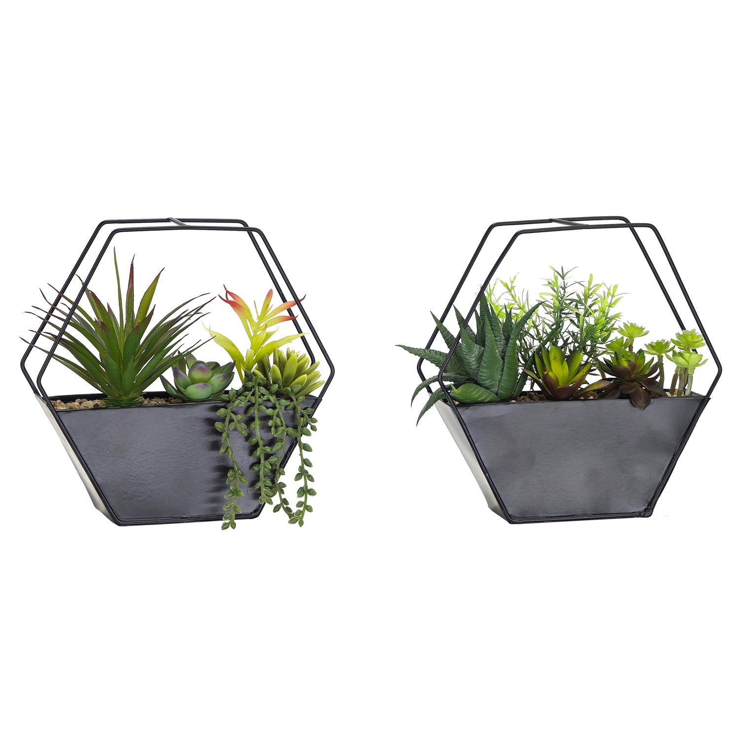 VESTIAMO CASA - Pianta Artificiale Grassa in vaso con struttura in Metallo Nero h20x20x6 cm