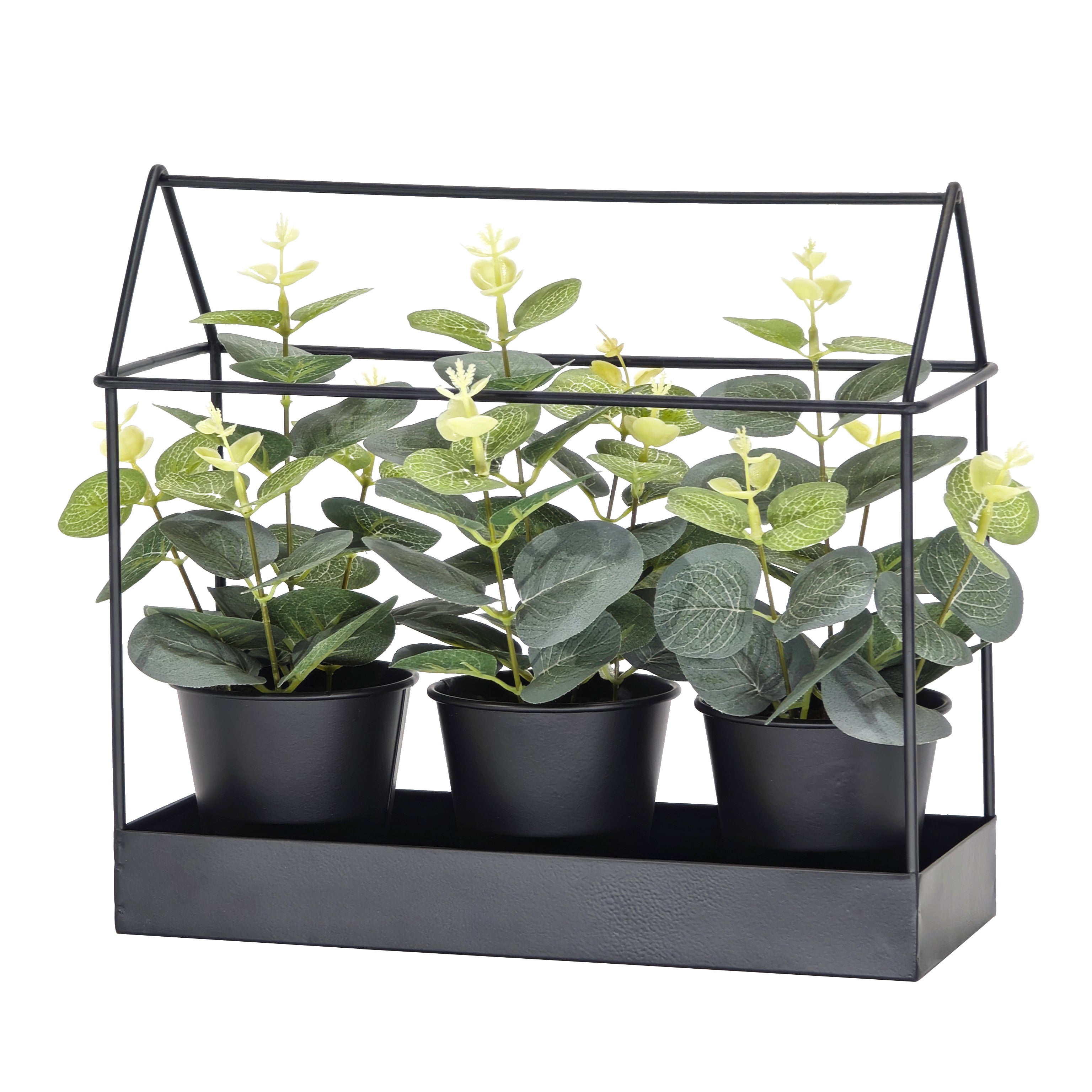 VESTIAMO CASA - Set 3 Piante Artificiali Eucalipto in Serra Decorativa in Metallo Nero h22x24x10 cm