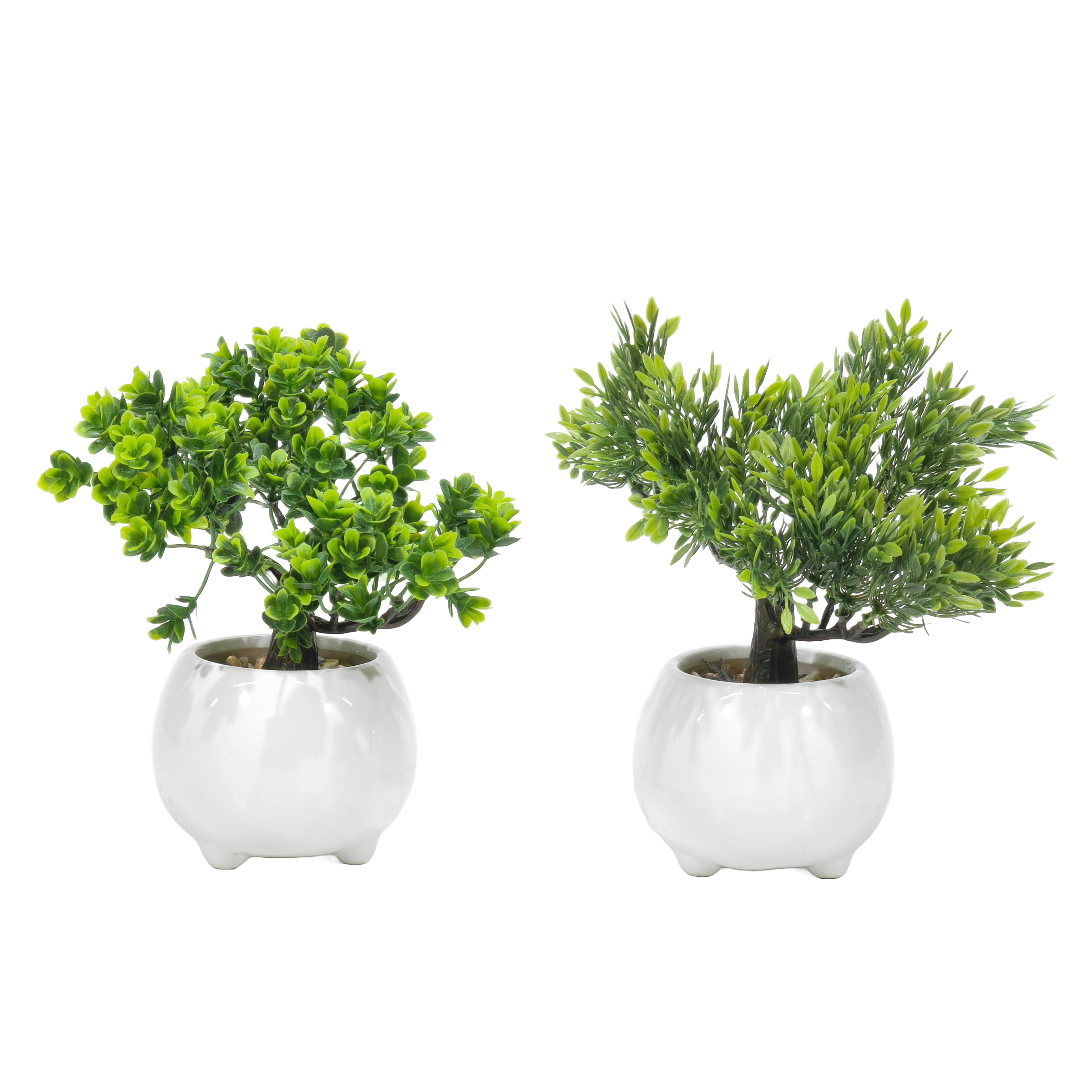 VESTIAMO CASA - Pianta artificiale Bonsai in vaso - h22 cm diametro 10 cm