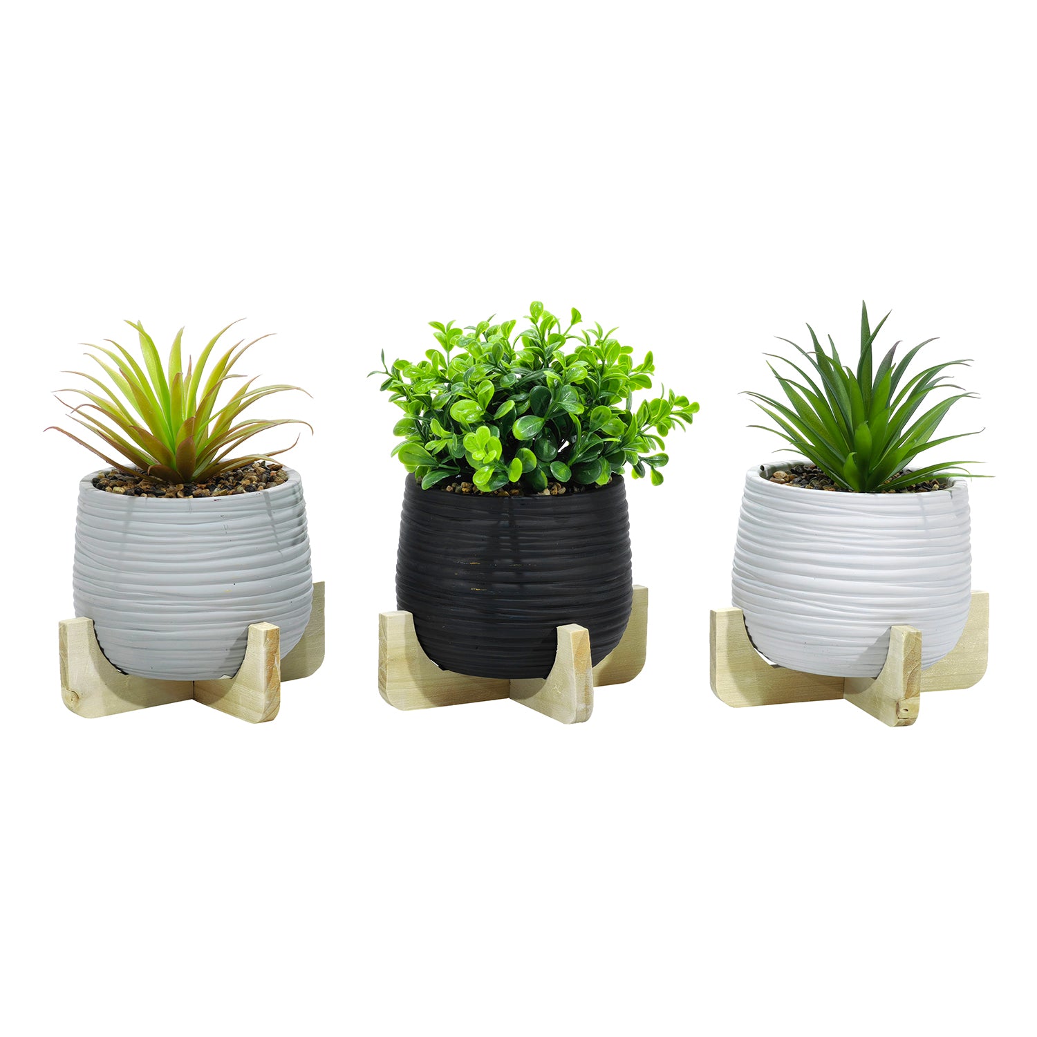 VESTIAMO CASA - Pianta artificiale Grassa in vaso - h20 cm diametro 12 cm