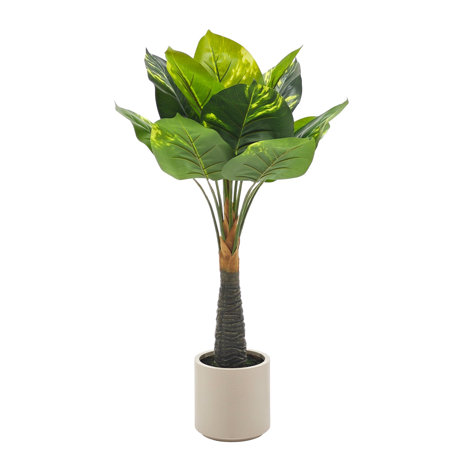 VESTIAMO CASA - Pianta Artificiale Dieffenbachia in vaso - h90 cm diametro 18 cm