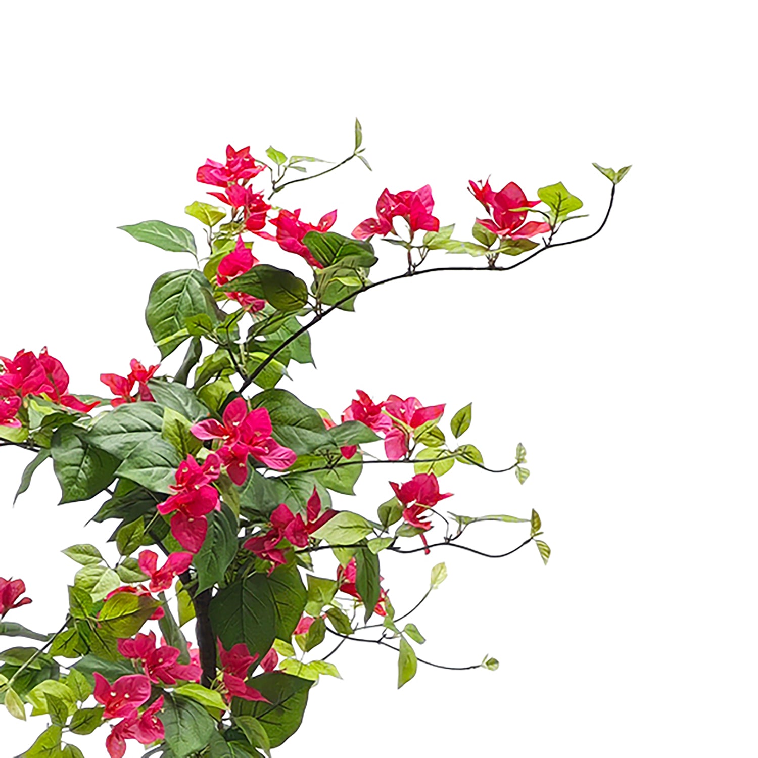 VESTIAMO CASA - Pianta Artificiale Bougainvillea in vaso - h150 cm diametro 22 cm