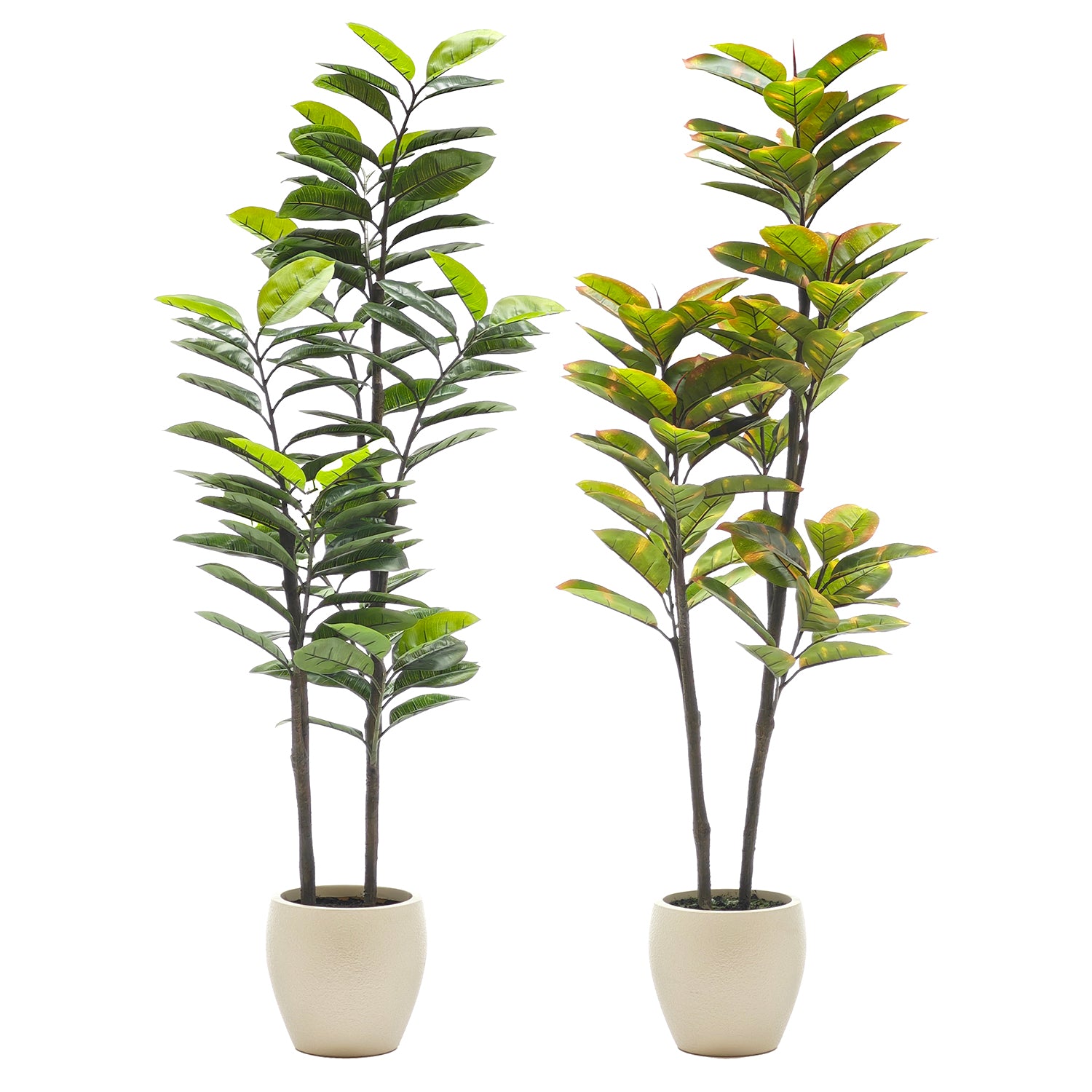 VESTIAMO CASA - Pianta Artificiale Ficus in vaso - h165 cm diametro 25 cm