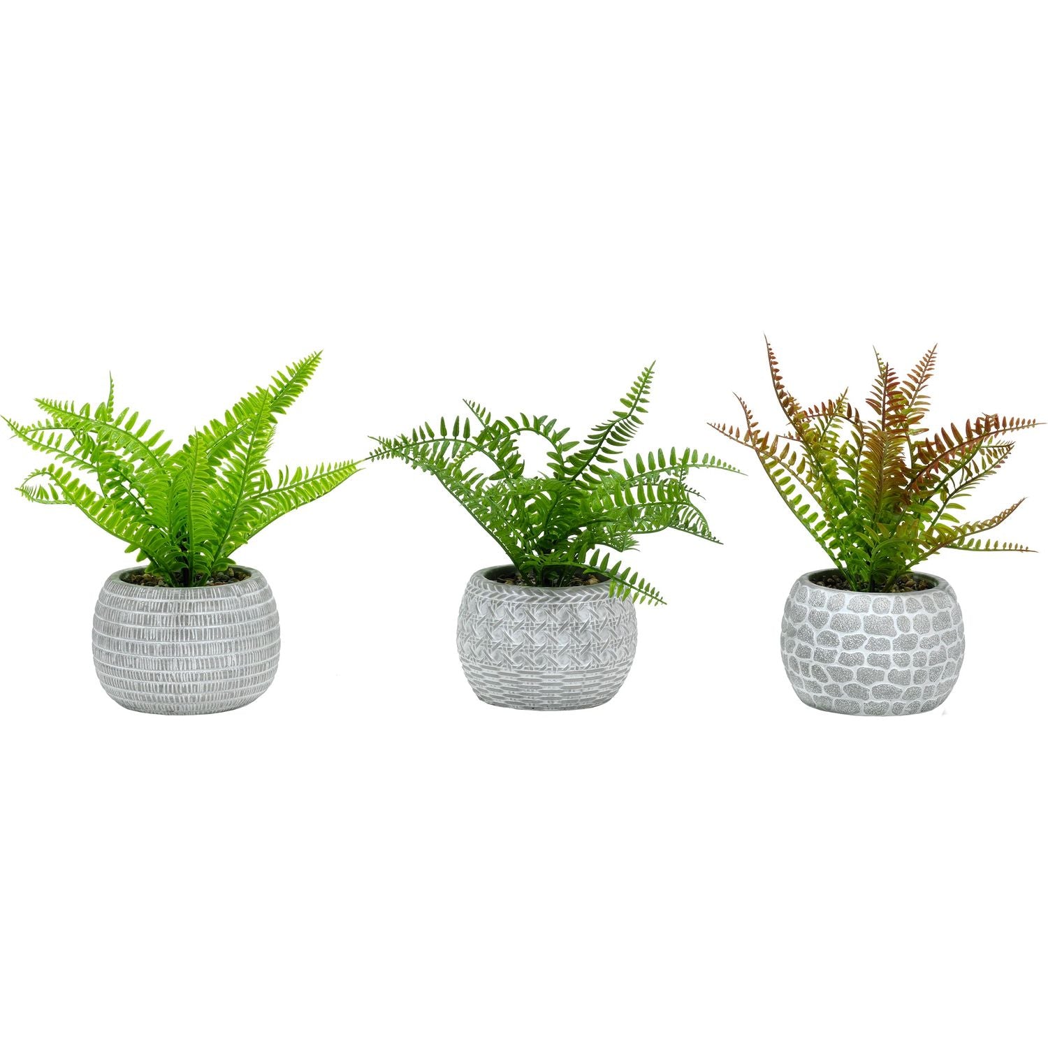 VESTIAMO CASA - Pianta artificiale Felce in vaso - h27 cm diametro 12 cm