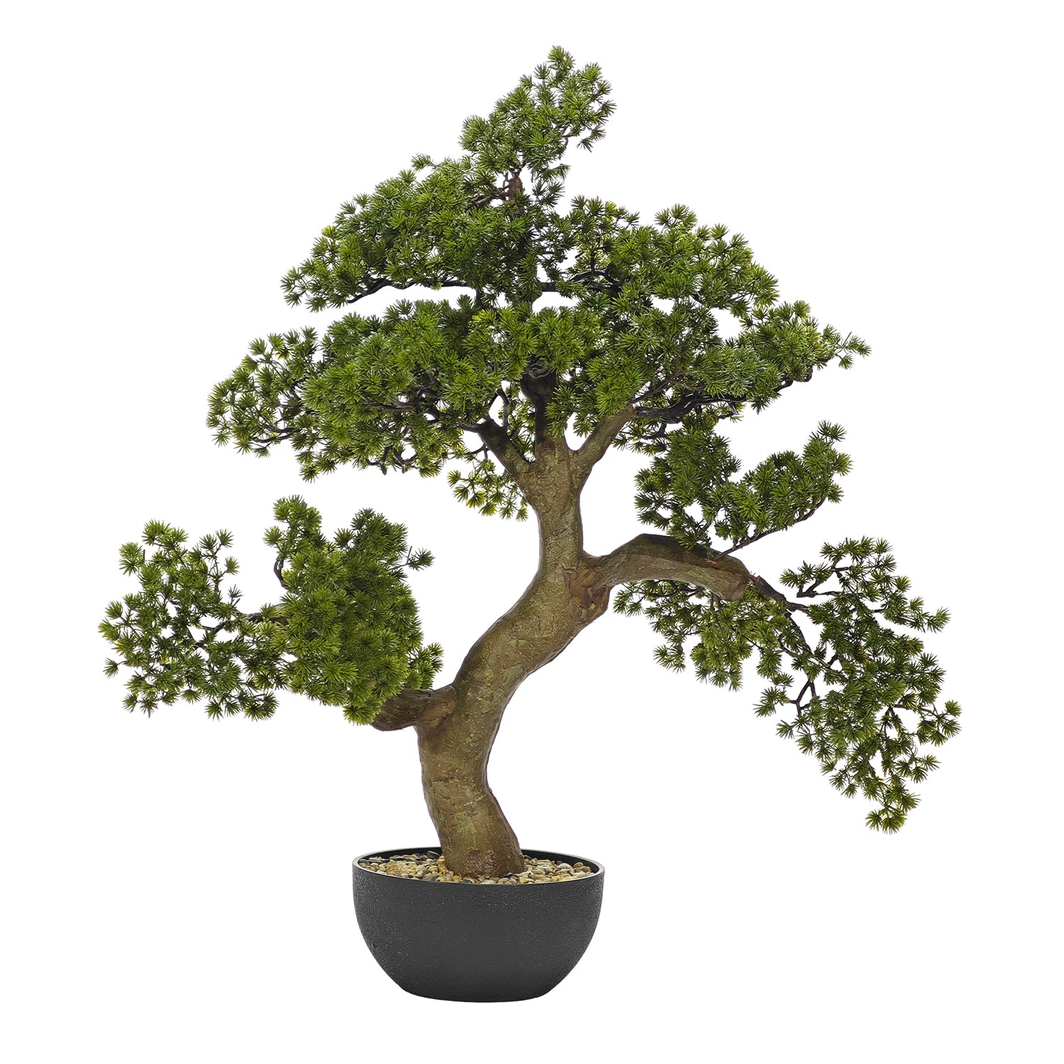 VESTIAMO CASA - Bonsai di Pino Artificiale in vaso - h80 cm diametro 22 cm