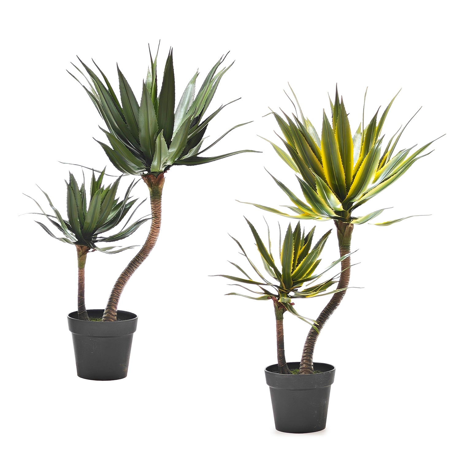 VESTIAMO CASA - Pianta Artificiale Agave in vaso - h95 cm diametro 20 cm