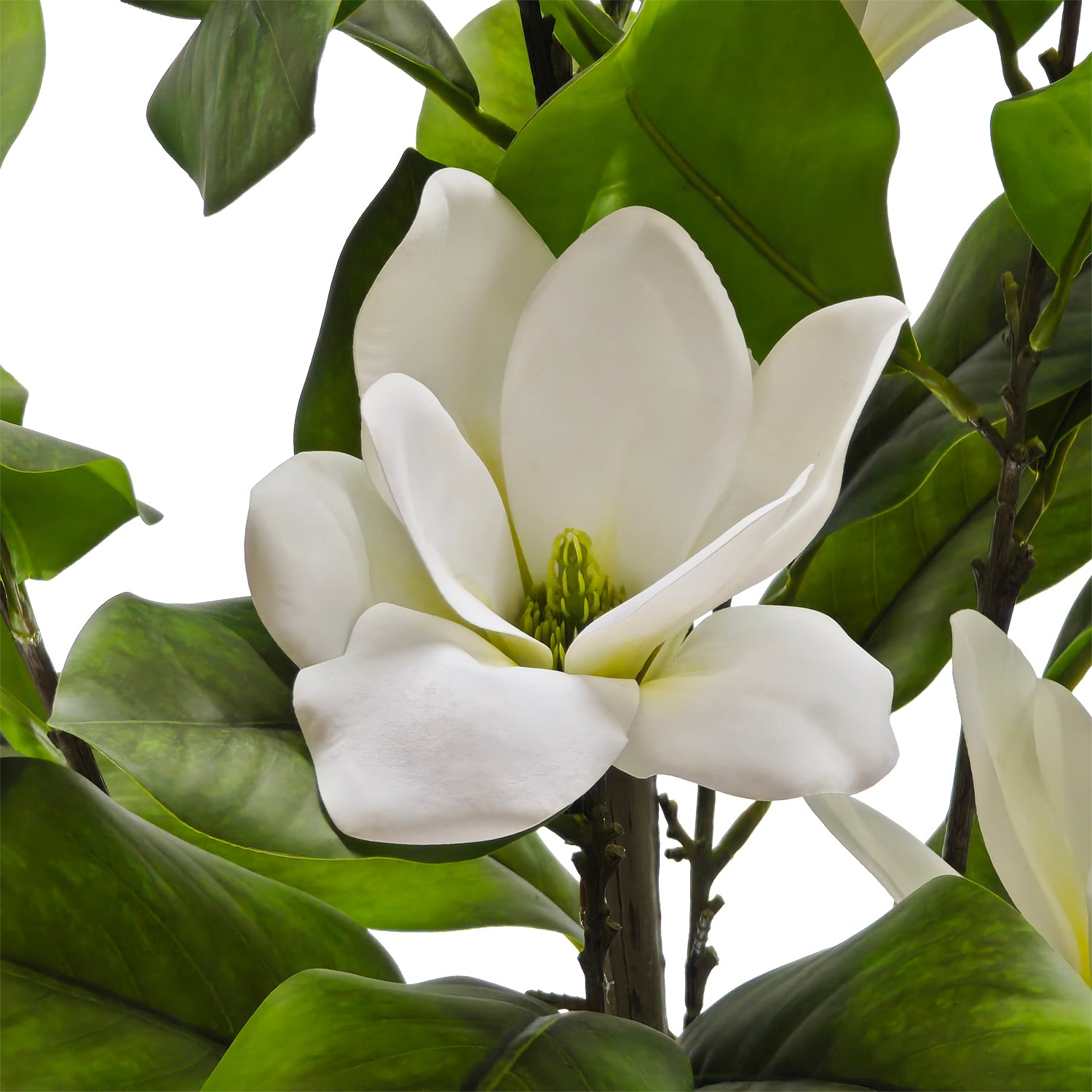 VESTIAMO CASA - Pianta Artificiale Magnolia in vaso - h120 cm diametro 18 cm