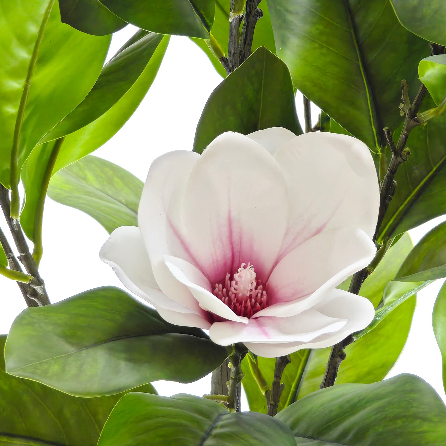 VESTIAMO CASA - Pianta Artificiale Magnolia in vaso - h120 cm diametro 18 cm