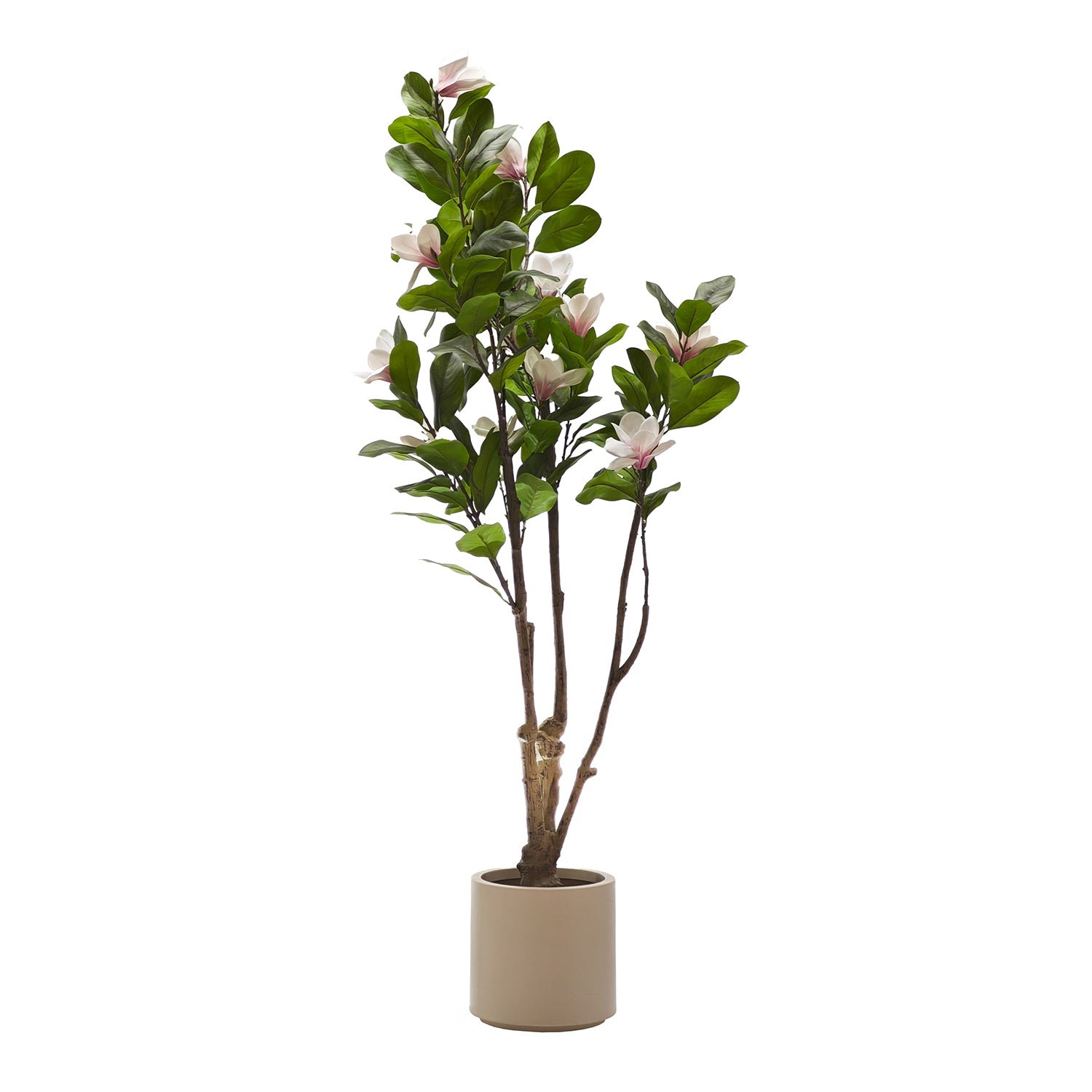 VESTIAMO CASA - Pianta Artificiale Magnolia in vaso - h190 cm diametro 26 cm