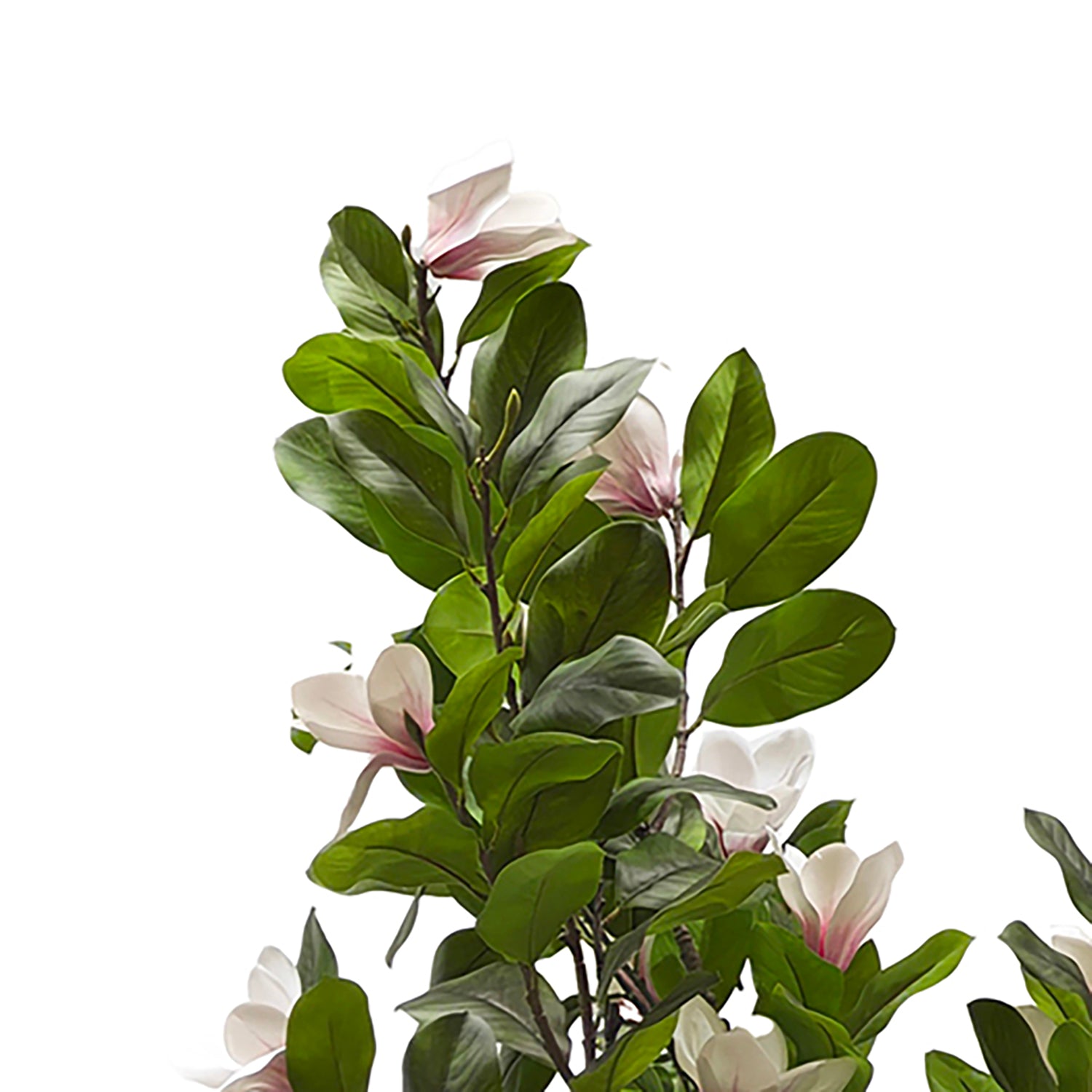 VESTIAMO CASA - Pianta Artificiale Magnolia in vaso - h190 cm diametro 26 cm