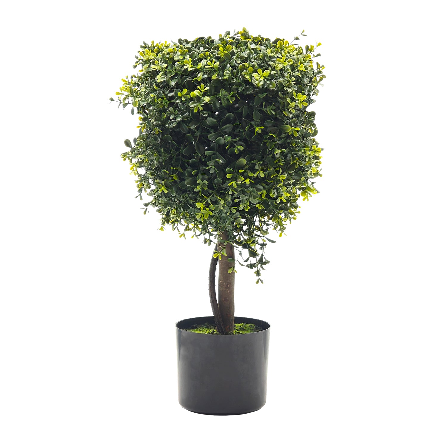 VESTIAMO CASA - Pianta Artificiale Bosso in vaso - h60 cm diametro 32 cm