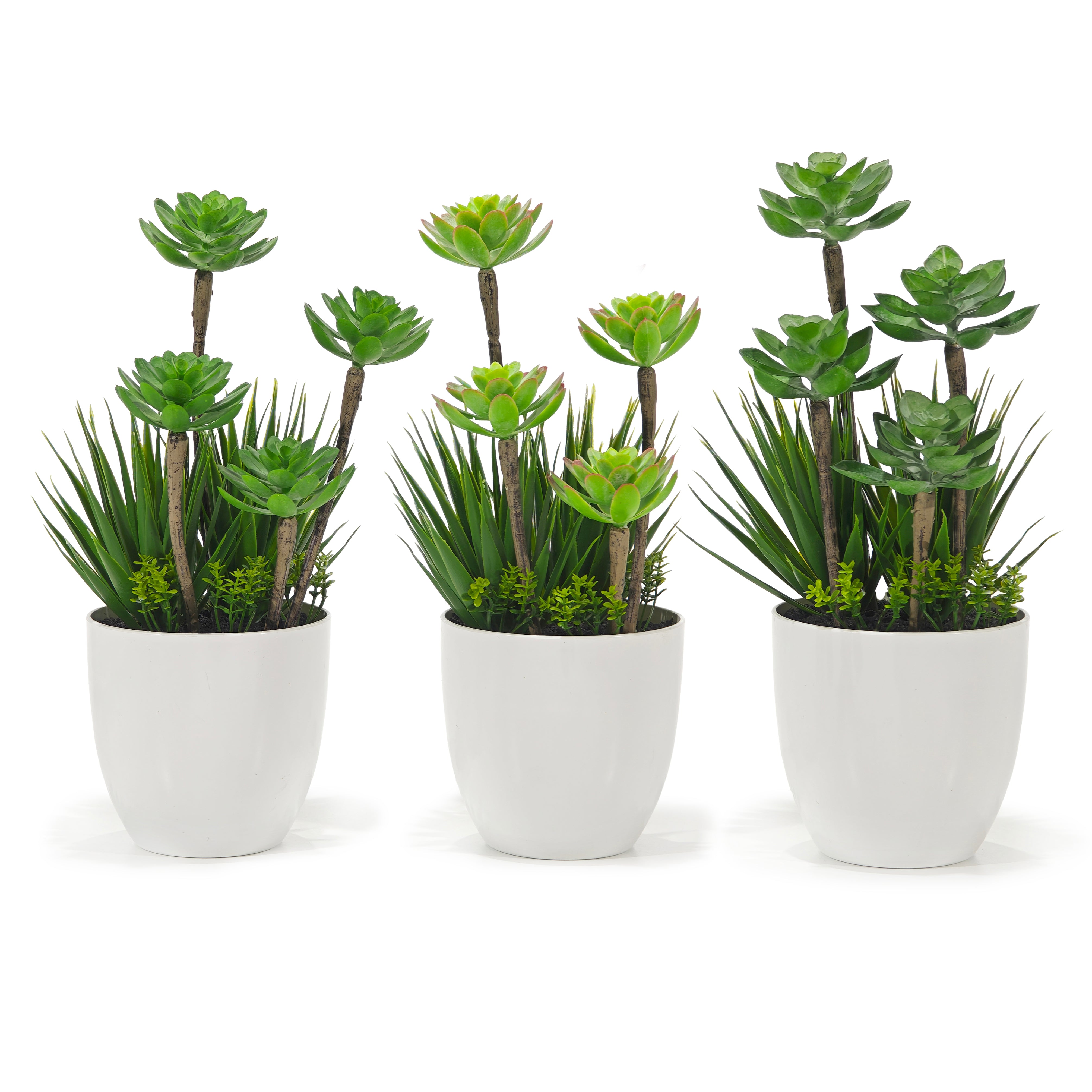 VESTIAMO CASA - Pianta artificiale Grassa in vaso - h32 cm diametro 12 cm