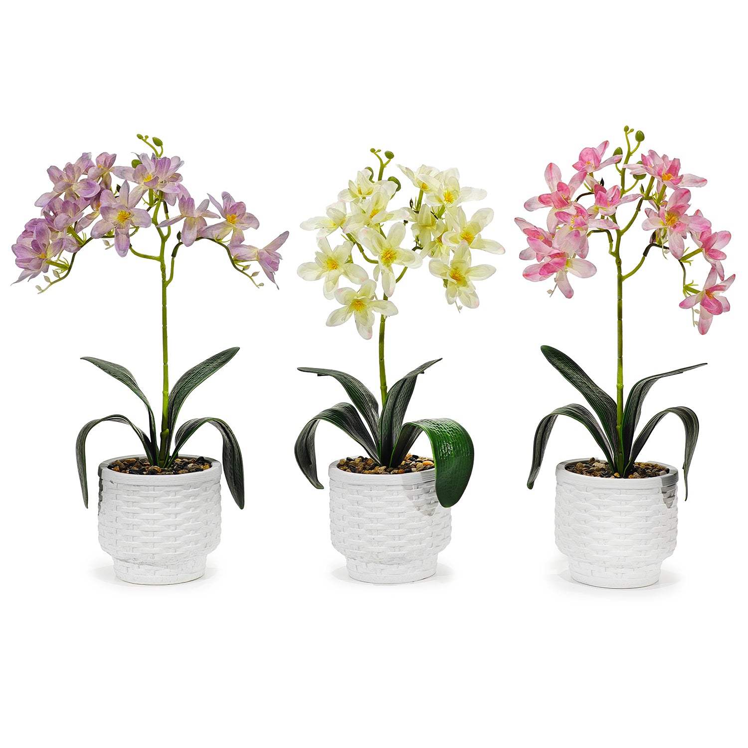 GT - Pianta artificiale Orchidea in vaso - h37 cm diametro 11 cm