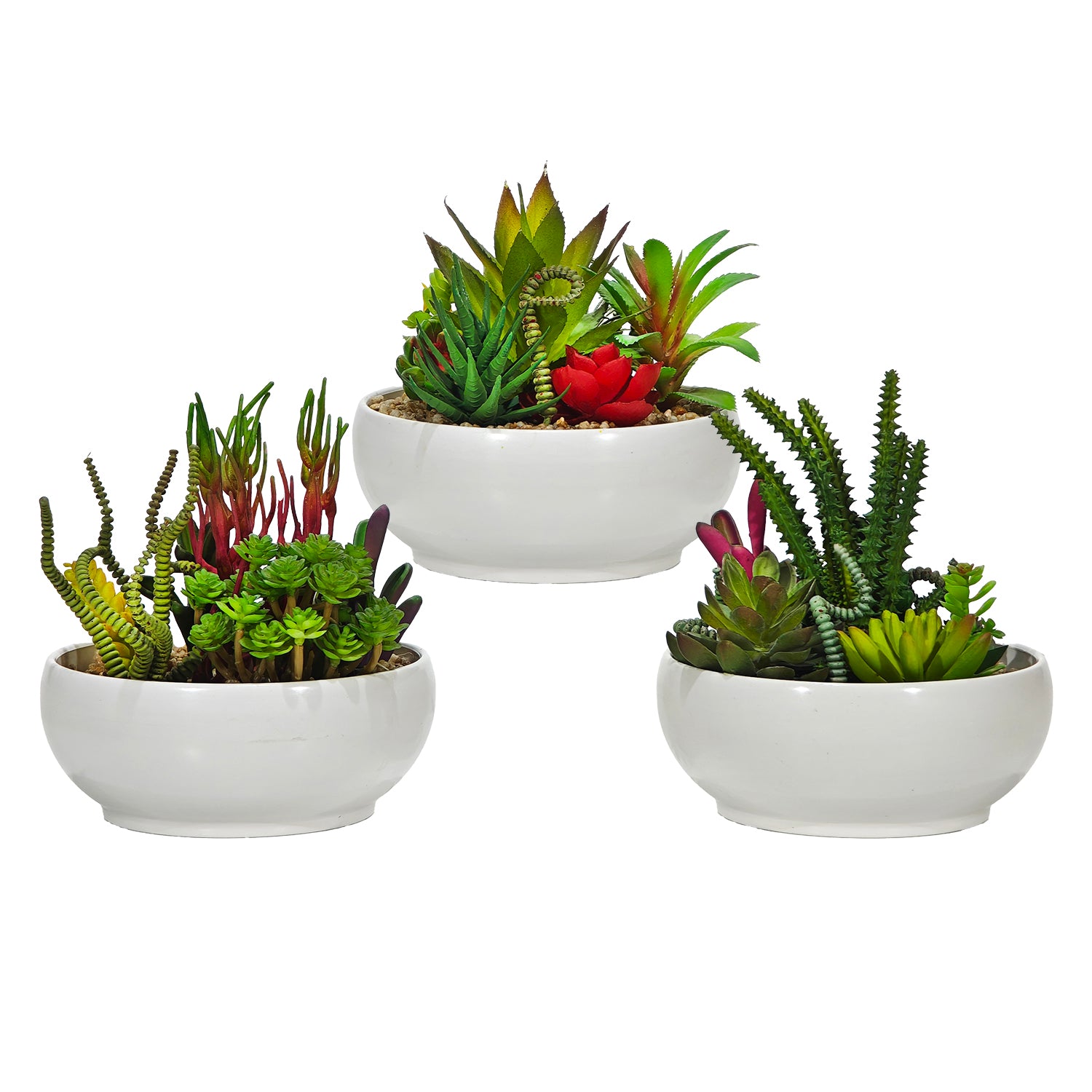 VESTIAMO CASA - Pianta artificiale Grassa in vaso - h18 cm diametro 16 cm