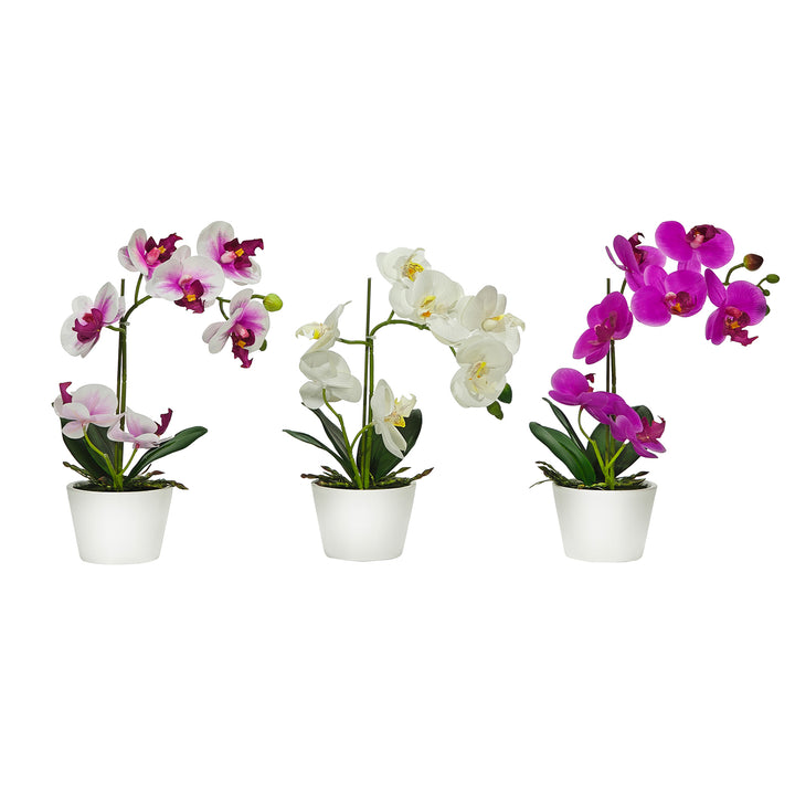 Pianta Artificiale In Vaso Orchidea Pianta Per Uso Interno Decorazione In Plastica 63 Cm Nioka 85447839 Pianta Artificiale In Vaso Orchidea Pianta Per Uso Interno Decorazione In Plastica 63 Cm Nioka 85447839