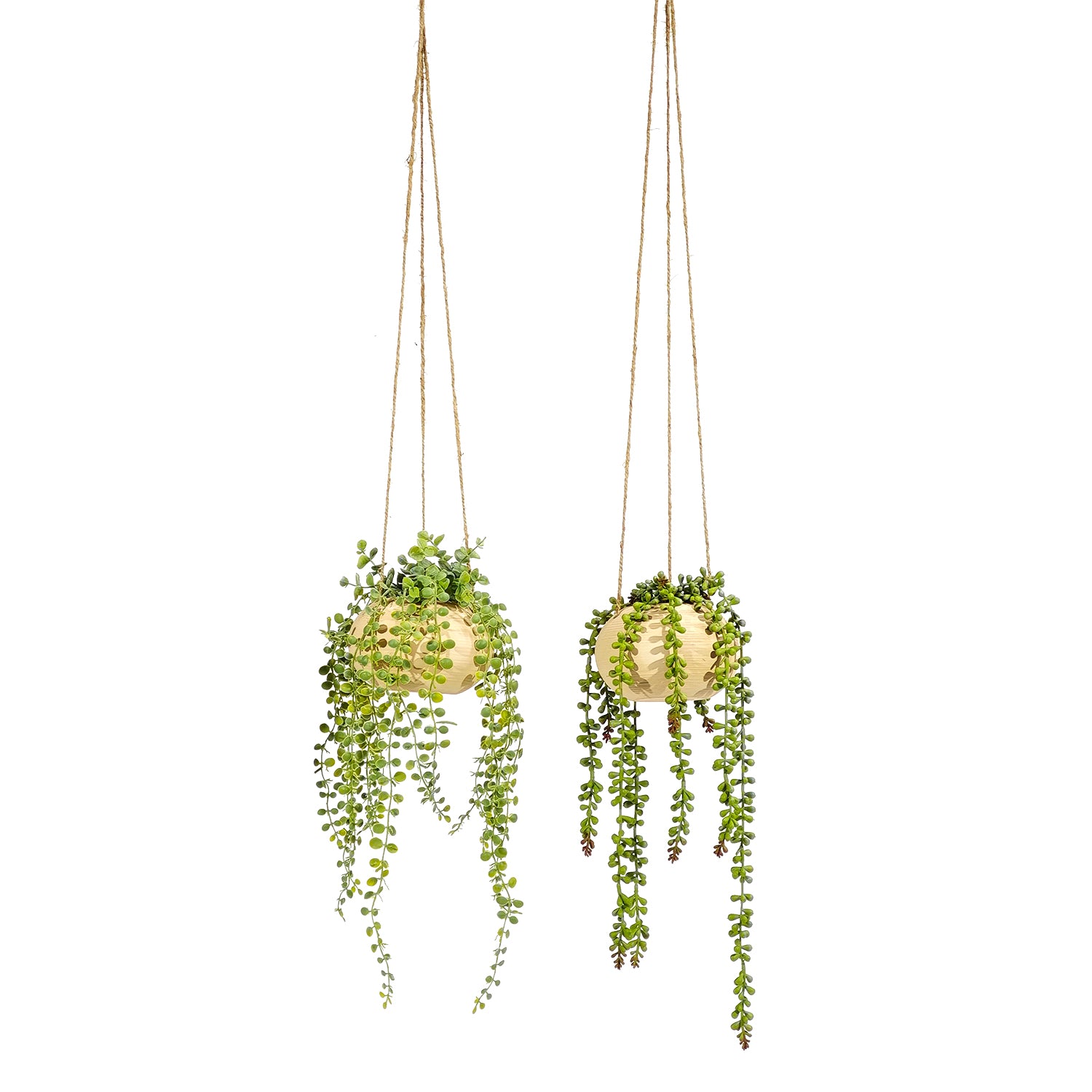 GT - Pianta artificiale Senecio con vaso sospeso  - h75 cm diametro 15 cm