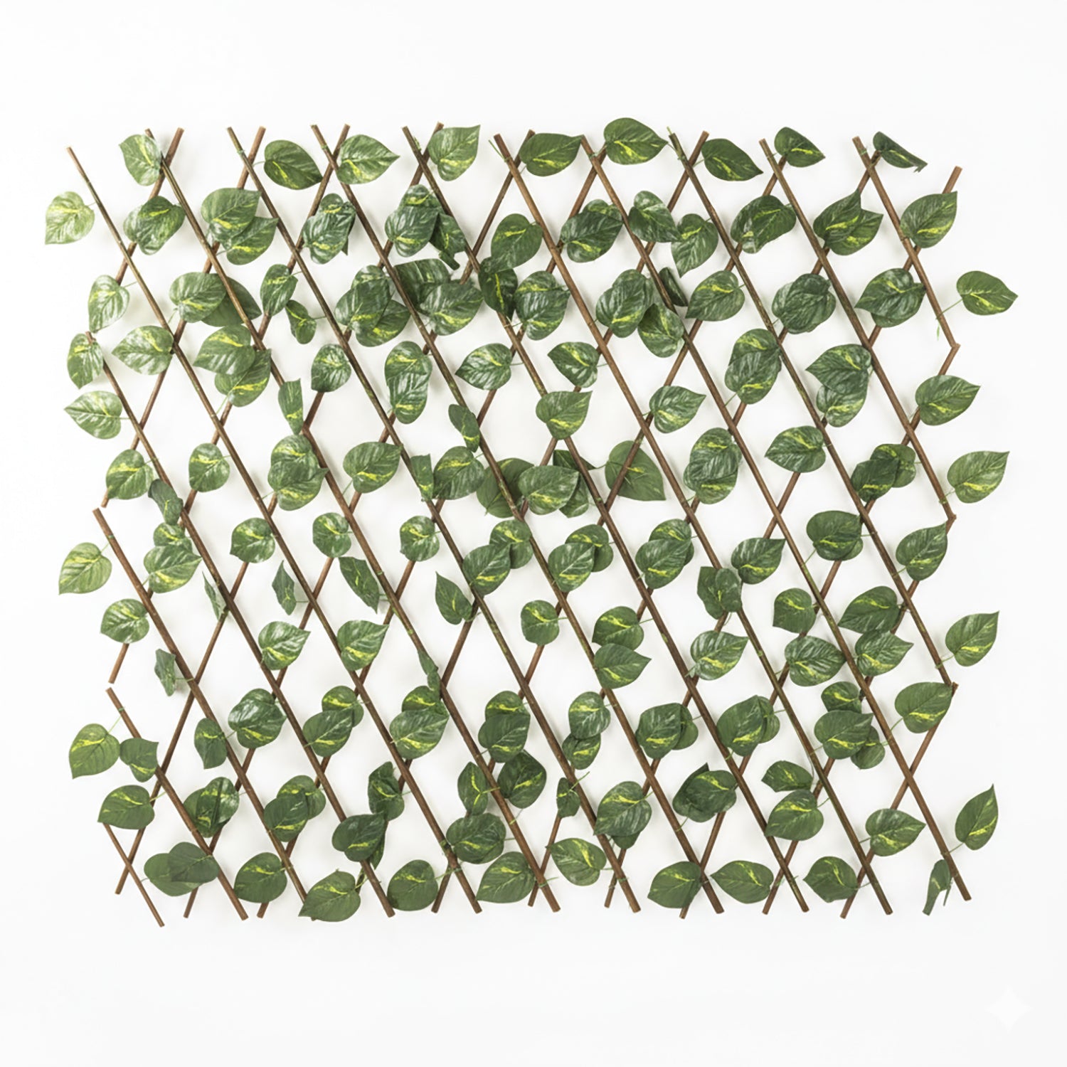 VESTIAMO CASA GIARDINO - Siepe Artificiale Estensibile con foglie di Epipremnum Aureum Verde h100x190 cm