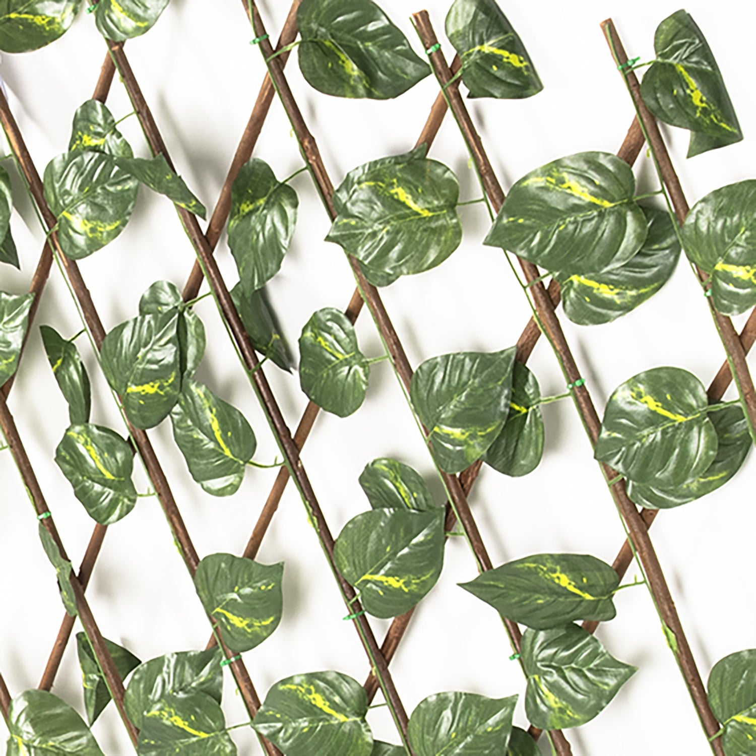 VESTIAMO CASA GIARDINO - Siepe Artificiale Estensibile con foglie di Epipremnum Aureum Verde h100x190 cm