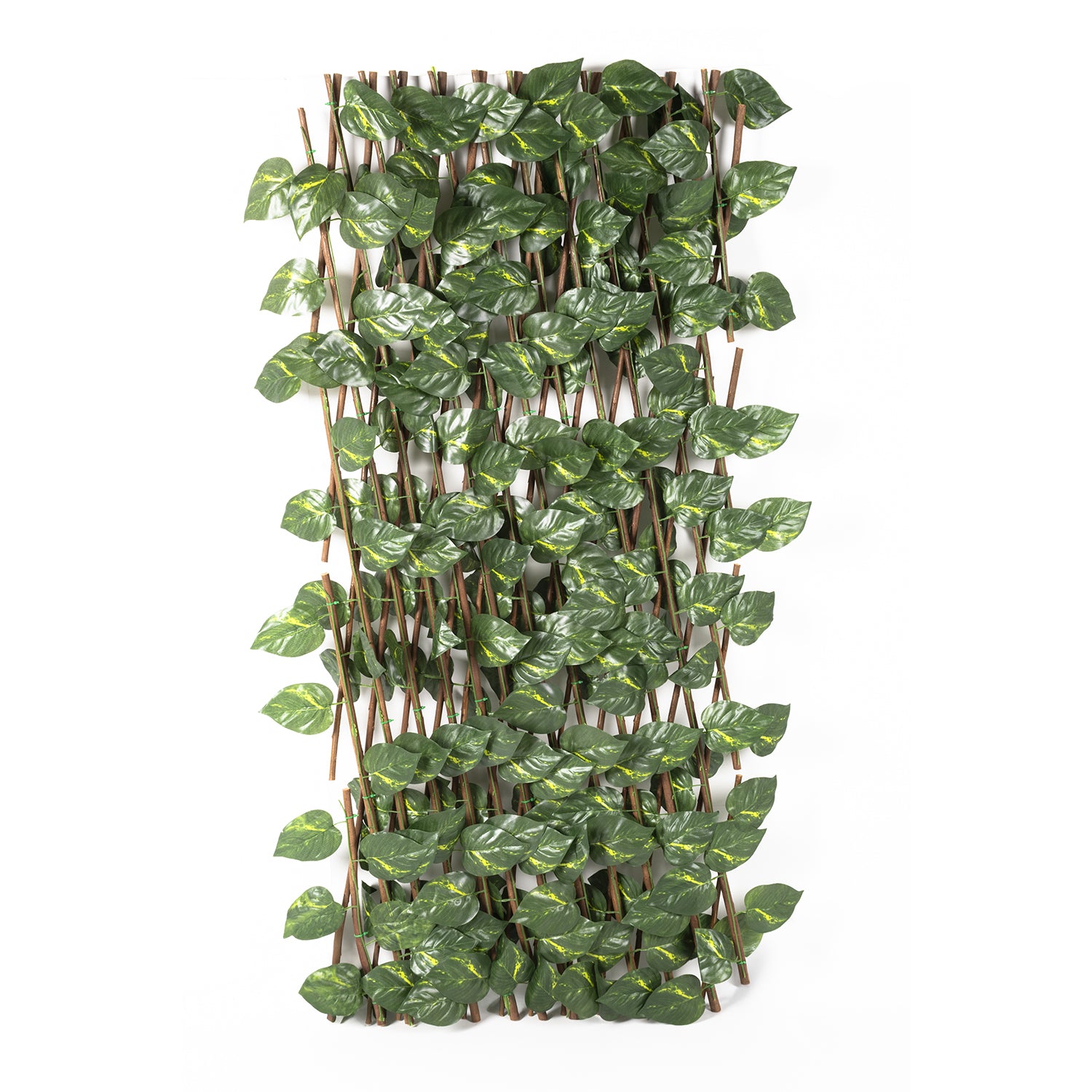 VESTIAMO CASA GIARDINO - Siepe Artificiale Estensibile con foglie di Epipremnum Aureum Verde h100x190 cm
