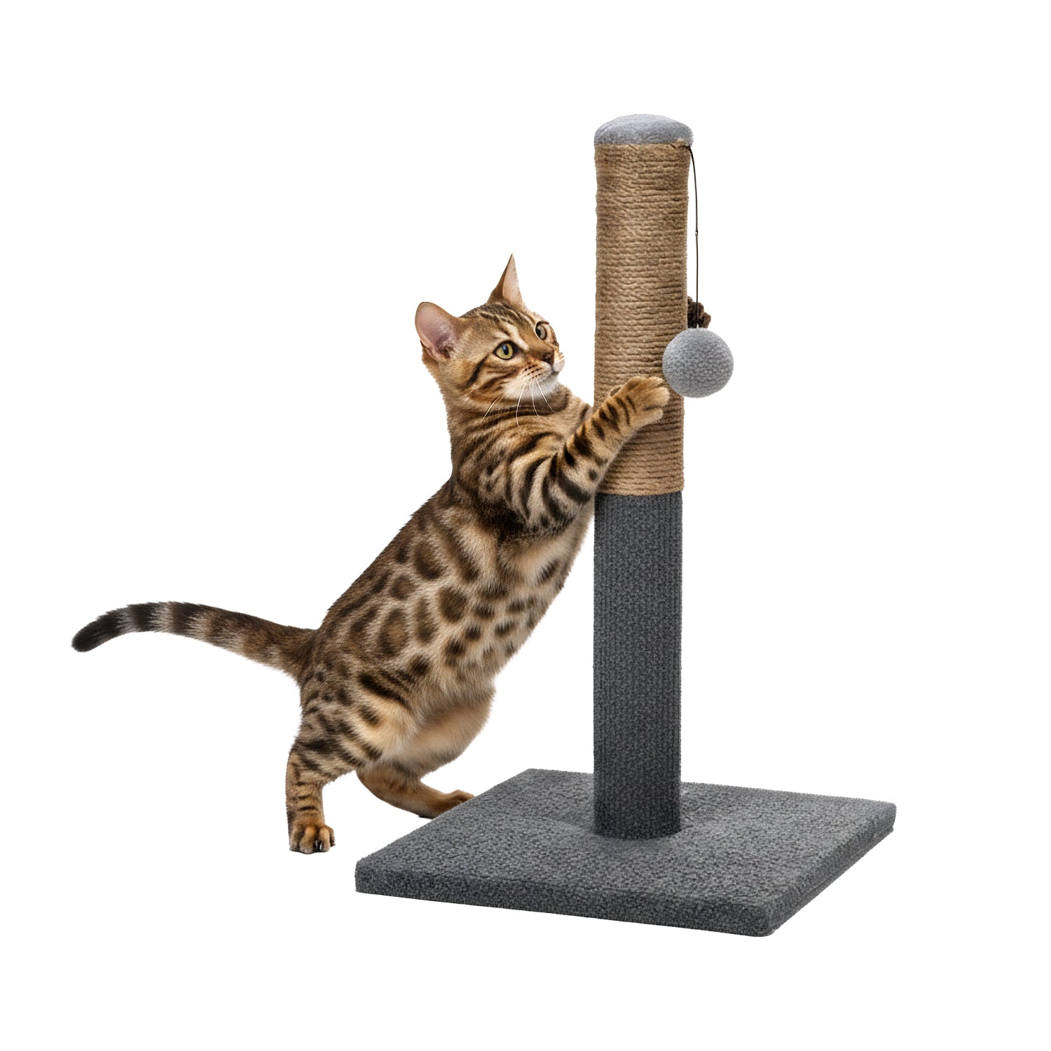PET SITTER - Tiragraffi a Colonna con Corda in Sisal e Pallina Sospesa - h53x30x30 cm