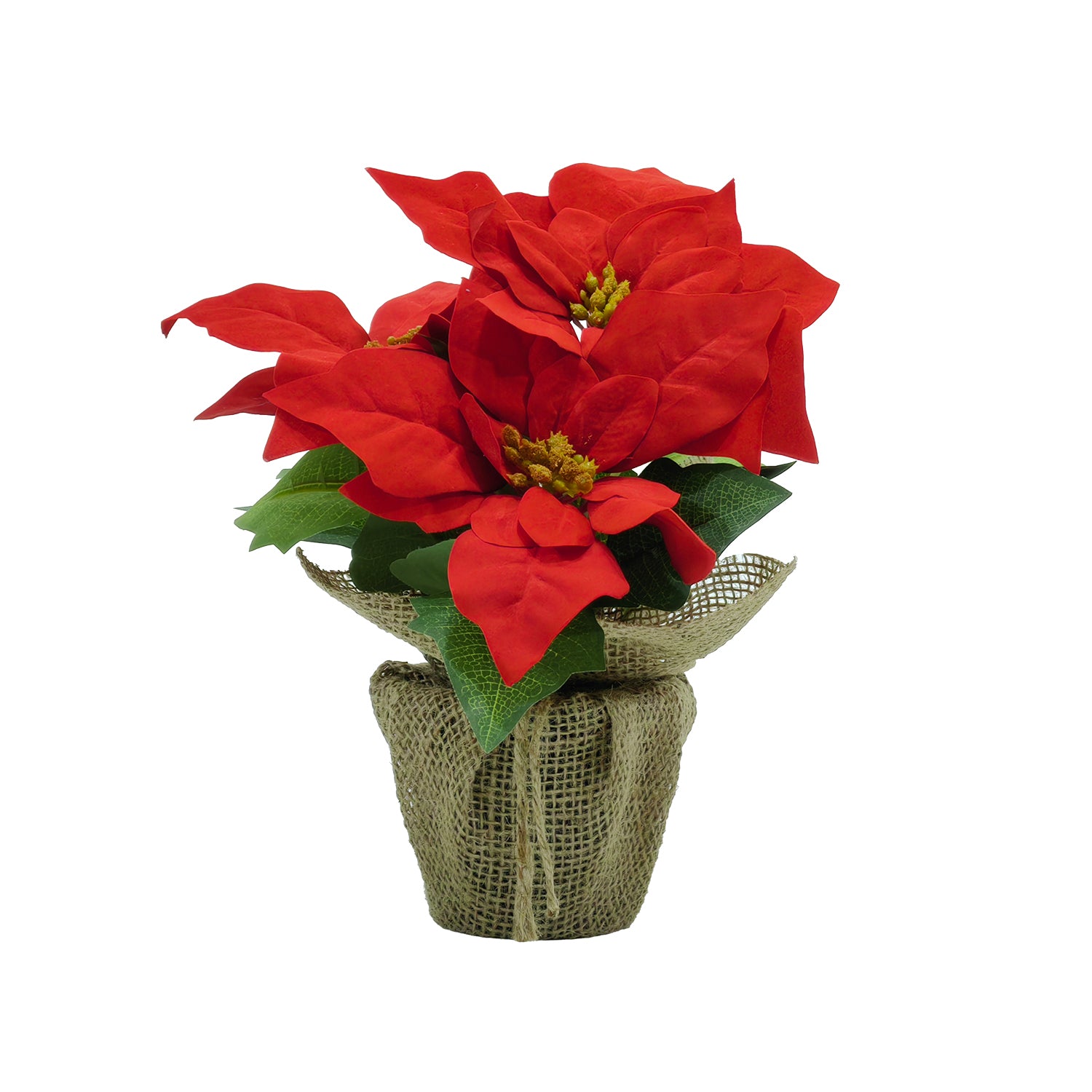VESTIAMO CASA GRAN NATALE - Pianta Natalizia Artificiale Stella di Natale Decorativa in Vaso h24 cm