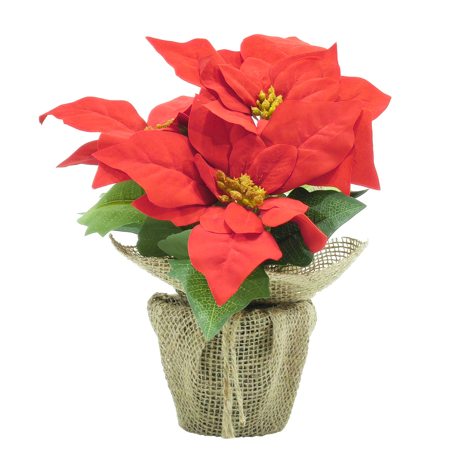 VESTIAMO CASA GRAN NATALE - Stella di Natale con vaso in Juta h24 cm