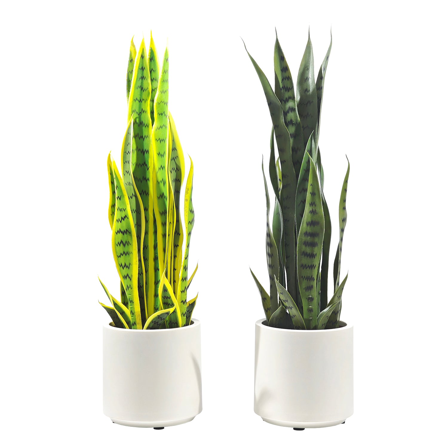 VESTIAMO CASA - Pianta artificiale Sanseveria in vaso - h70 cm x diametro 17,5 cm