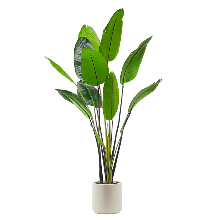 VESTIAMO CASA - Pianta artificiale Banano in vaso - h180 cm x diametro 27 cm