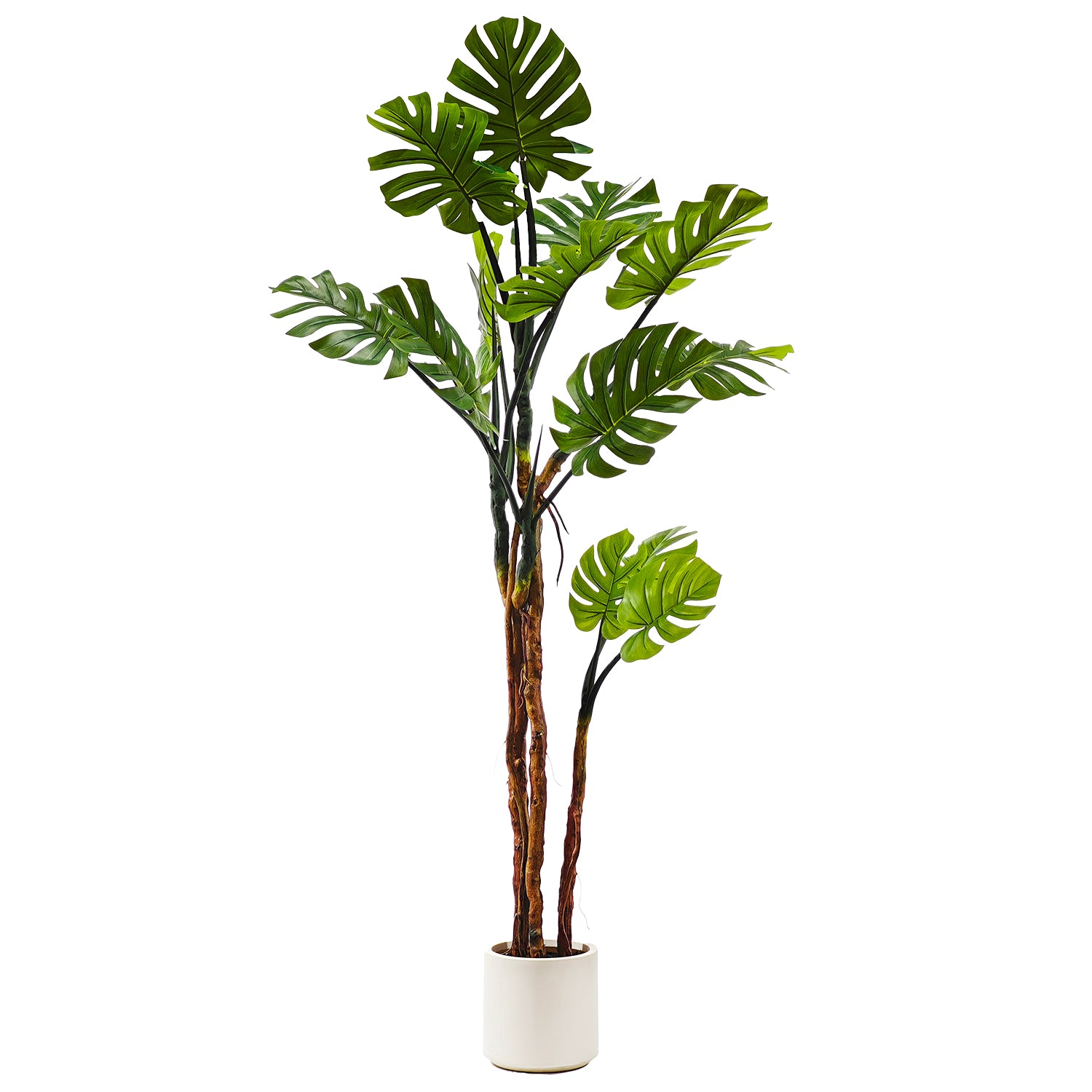 VESTIAMO CASA - Pianta artificiale Monstera Deliciosa in vaso - h195 cm x diametro 22 cm