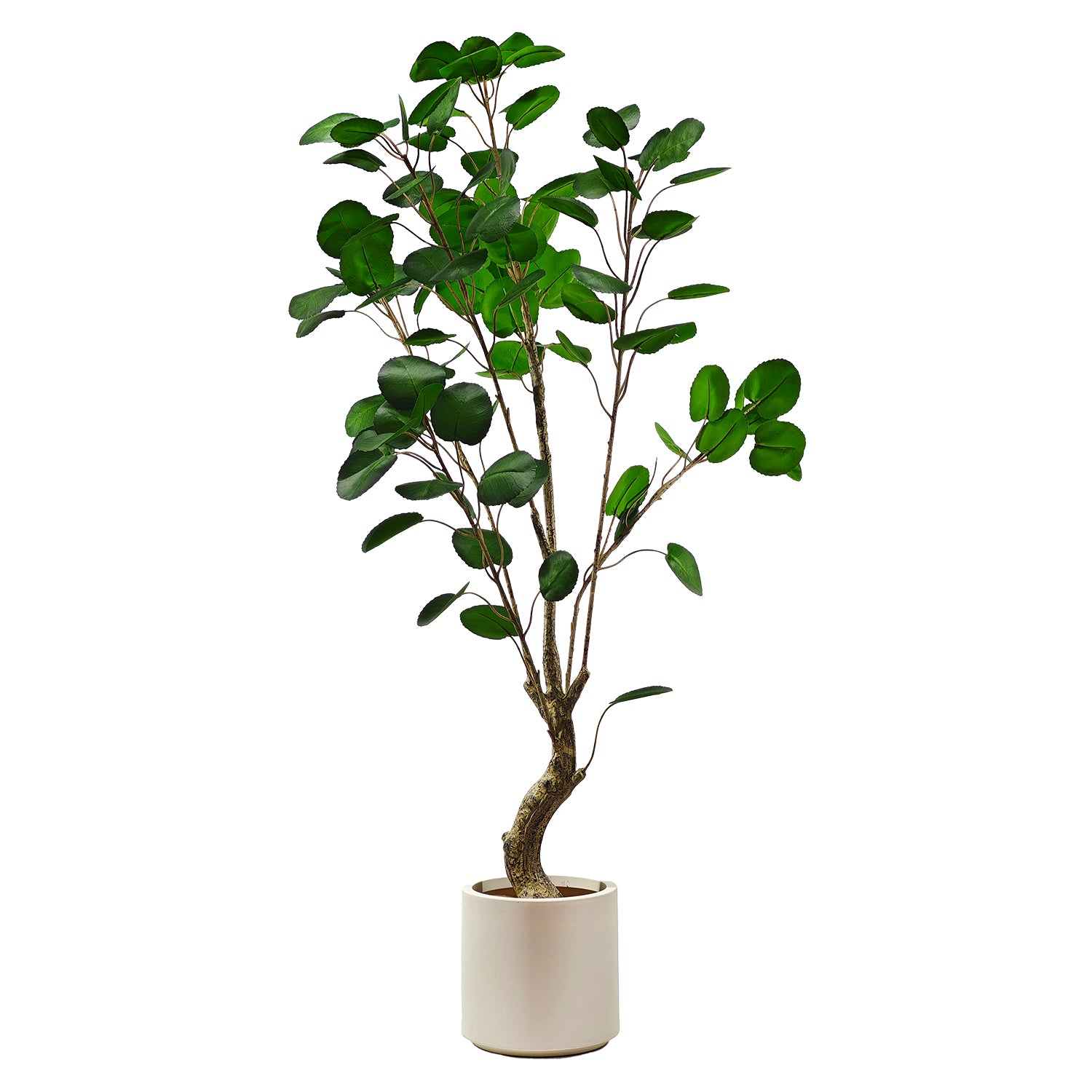 VESTIAMO CASA - Pianta artificiale Pachira Acquatica in vaso h180 cm