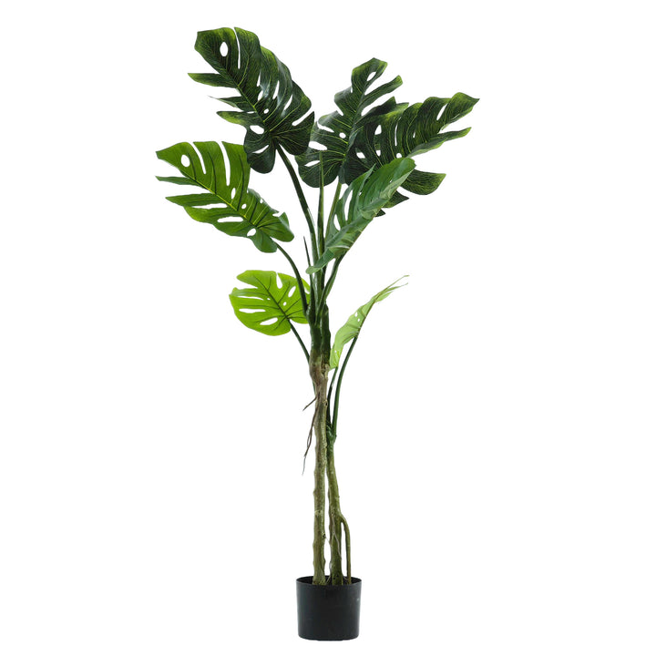 VESTIAMO CASA - Pianta artificiale Monstera deliciosa in vaso h130 cm