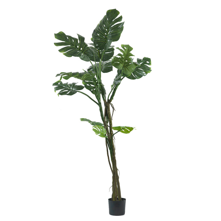 VESTIAMO CASA - Pianta artificiale Monstera deliciosa in vaso h180 cm