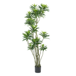 VESTIAMO CASA - Pianta artificiale Dracaena in vaso h180 cm