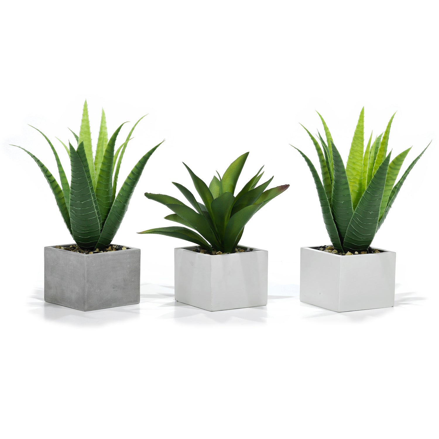 GT - Pianta artificiale Agave in vaso - h22x10x10 cm