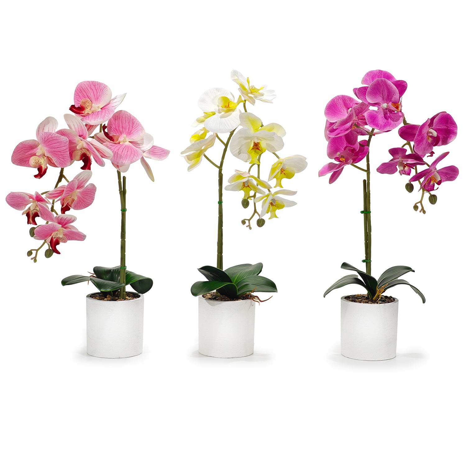 GT - Pianta artificiale Orchidea in vaso - h45 cm diametro 9,5 cm