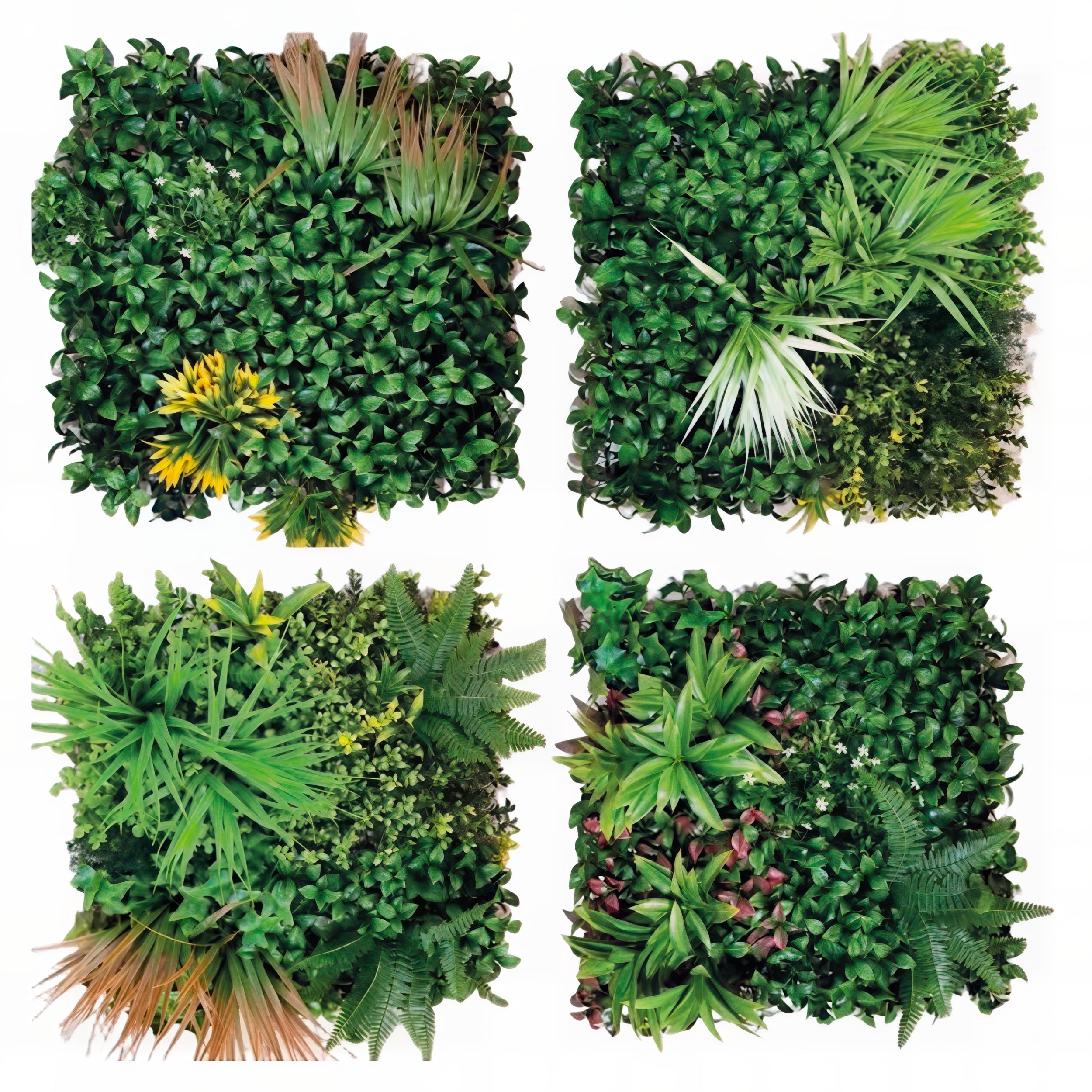 VESTIAMO CASA GIARDINO - Siepe Sintetica a Pannelli per Parete Giardino Verticale 100x100 cm - Set 4 Pannelli da 50x50 cm