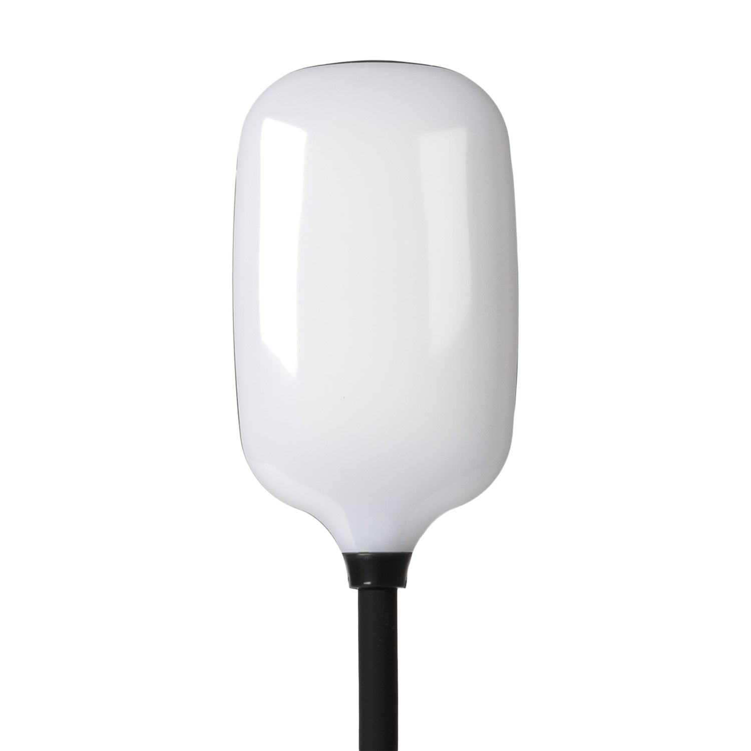 DICTROLUX - Lampada da Scrivania LED con Stand Smartphone e Ricarica USB