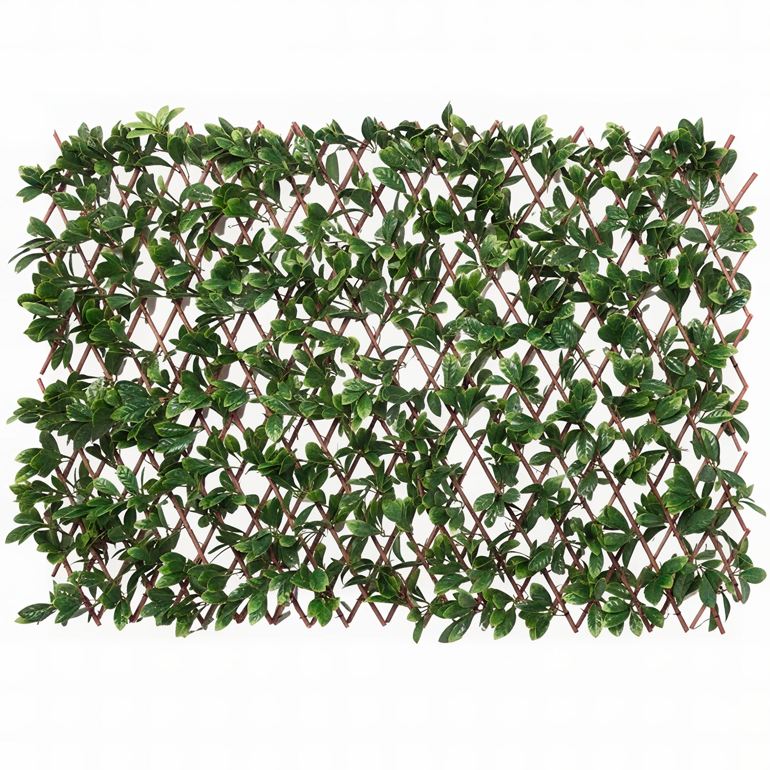 VESTIAMO CASA GIARDINO - Siepe Artificiale Estensibile Foglie di Mirto Cerato h90x180 cm