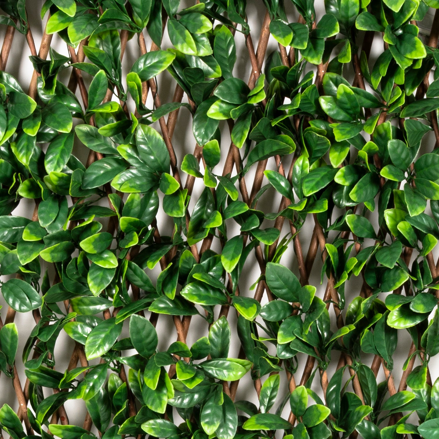 VESTIAMO CASA GIARDINO - Siepe Artificiale Estensibile Foglie di Mirto Cerato h90x180 cm