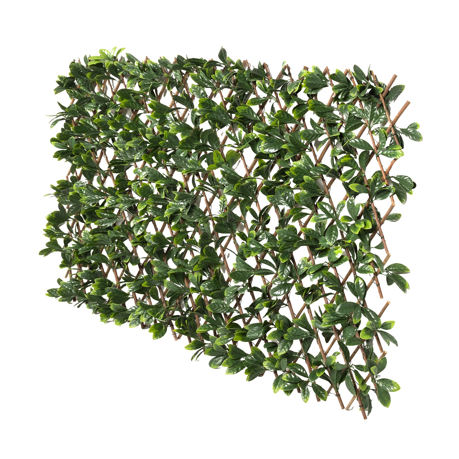 VESTIAMO CASA GIARDINO - Siepe Artificiale Estensibile Foglie di Mirto Cerato h90x180 cm