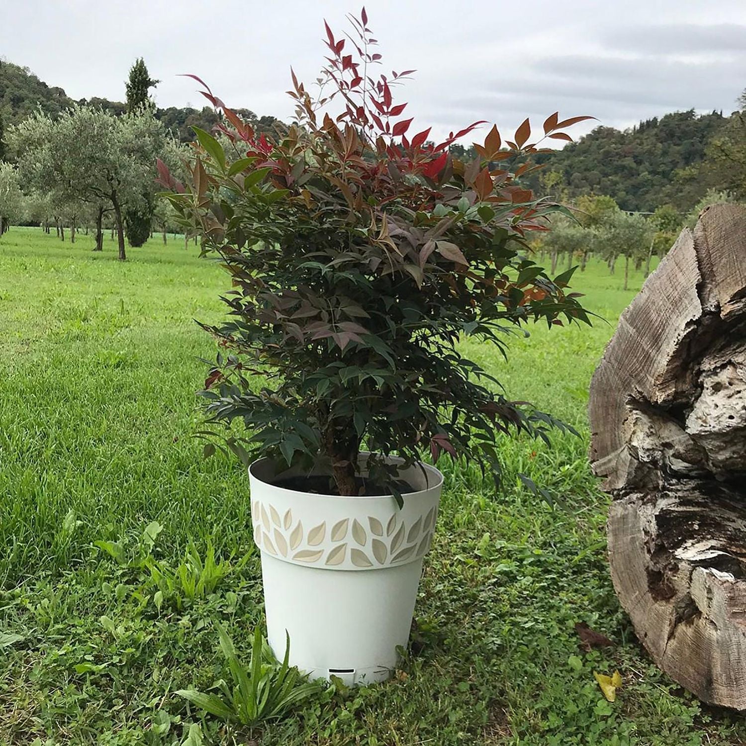 STEFANPLAST - Vaso decorato Cloe in plastica bianco con riserva d'acqua - h19 cm diametro 20 cm