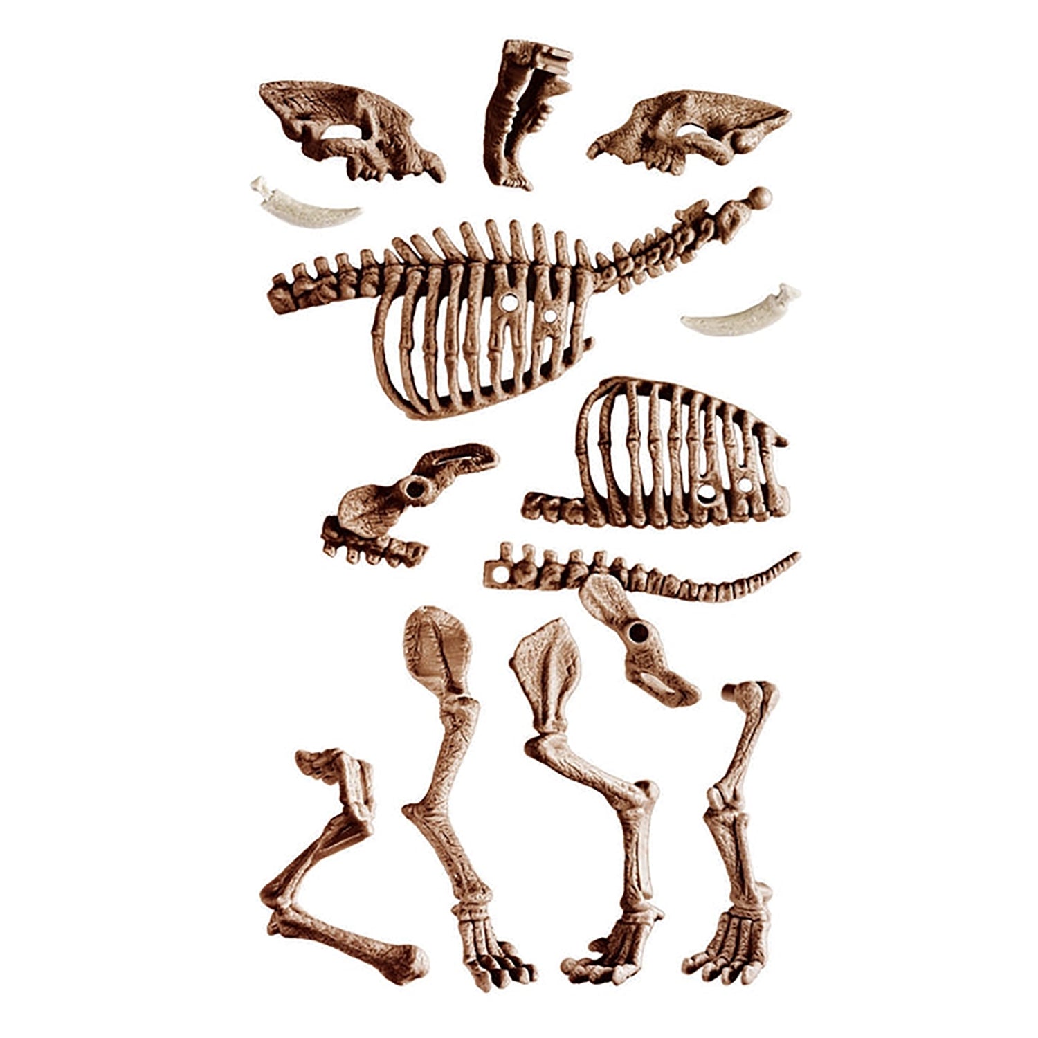 CLEMENTONI - Archeogiocando T-rex e Smilodon 2in1 - Scienza&Gioco