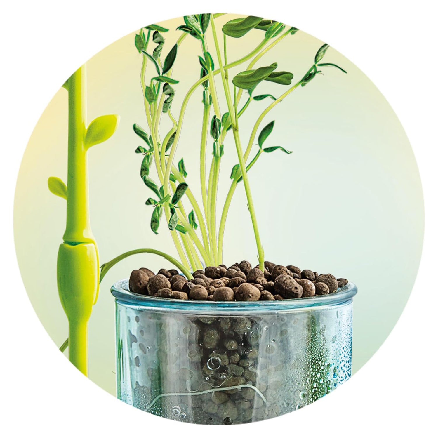 CLEMENTONI - Mini Orto - Scienza & gioco Lab