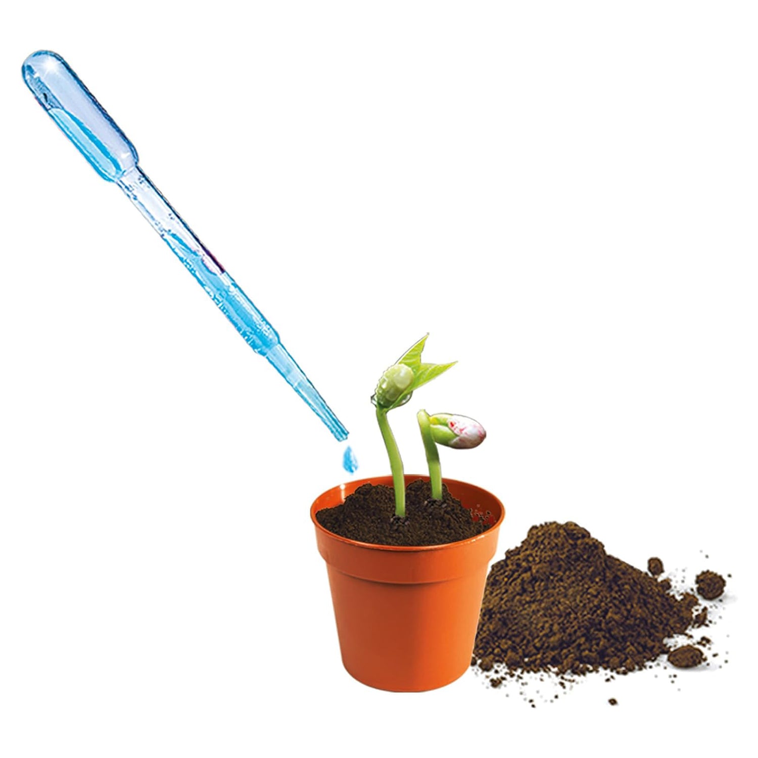 CLEMENTONI - Mini Orto - Scienza & gioco Lab